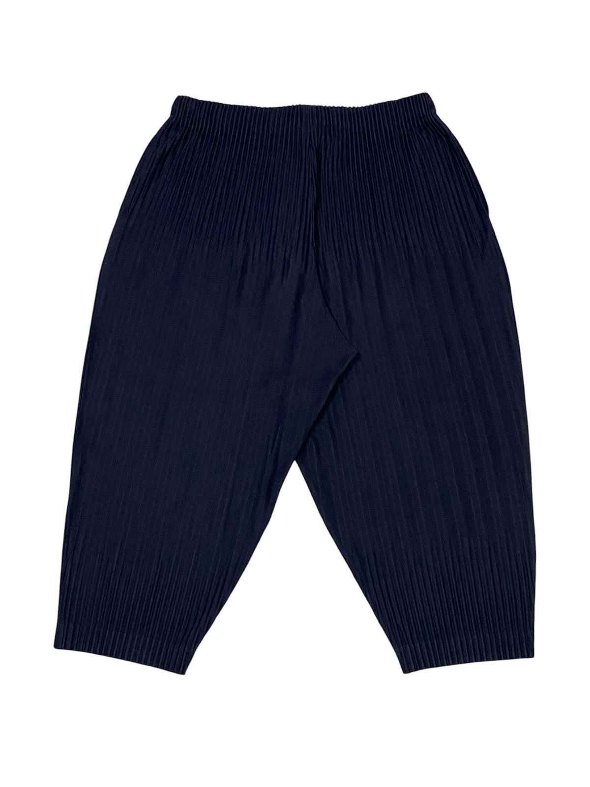 Issey Miyake Homme Plisse Issey Miyake Blue Black Pleated Cropped Pants Size US 34 / EU 50 - 5 Thumbnail