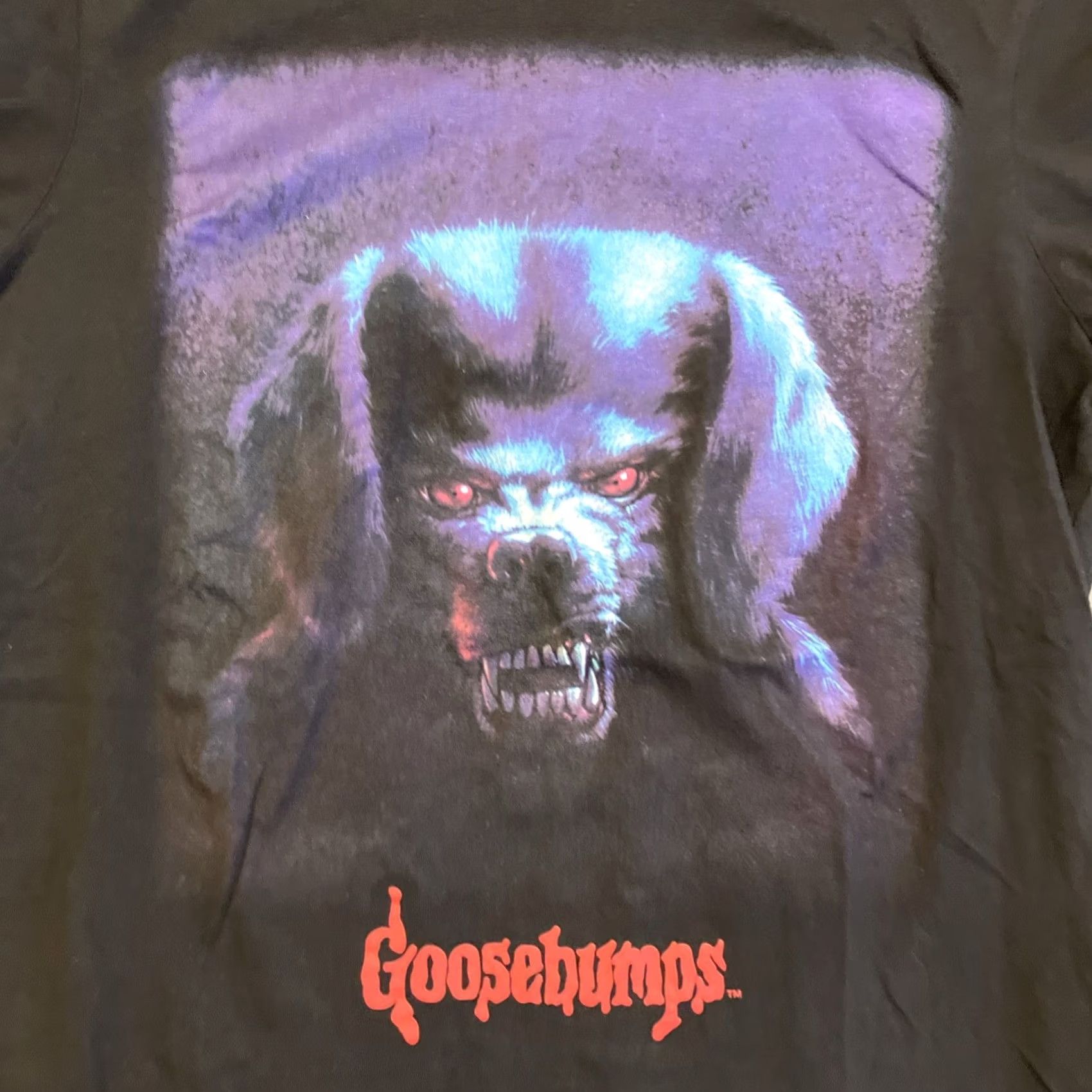 Vintage NWOT Rare Goosebumps X Scholastic Ghost Shirt Small Black Cotton 90s Horror Dog Logo Size US S / EU 44-46 / 1 - 2 Thumbnail