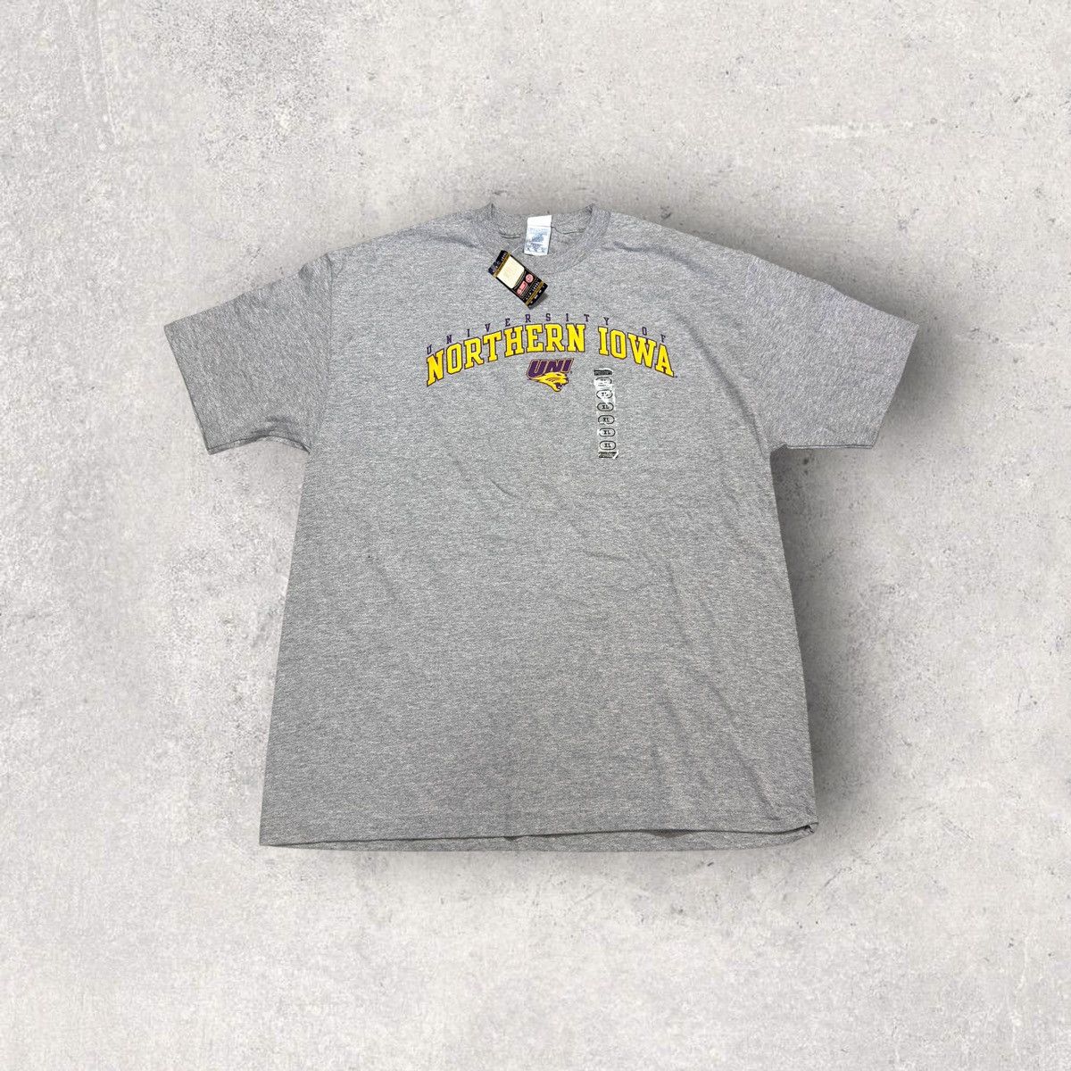 Alstyle × NCAA × Vintage Vintage Northern Iowa Panthers tee Size US XL / EU 56 / 4 - 1 Thumbnail