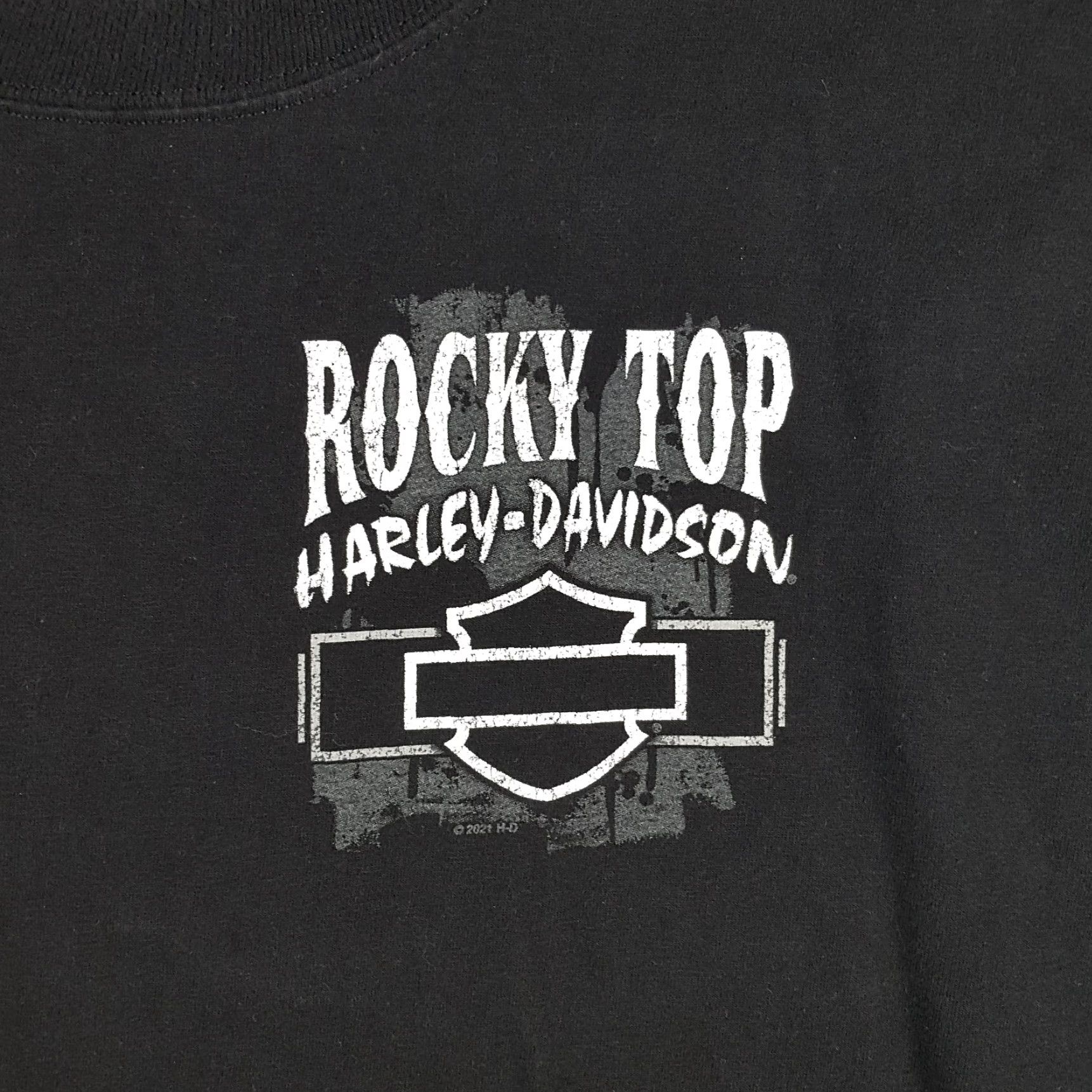 Harley Davidson VINTAGE Harley-Davidson Skull Logo Biker T-Shirt Men Large Black Retro Y2K Motorcycle Outdoor Short Sleeve Crew Neck Cotton Size US L / EU 52-54 / 3 - 3 Thumbnail