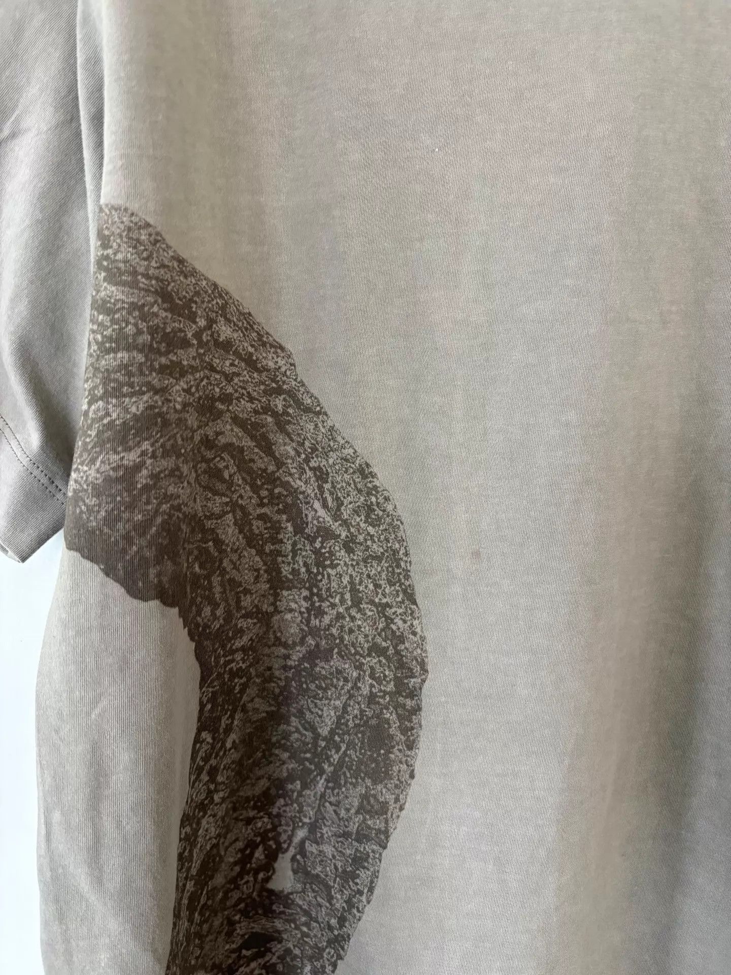 Ziggy Chen Ziggy Chen 25ss Men's Root Print Short Tee Size US S / EU 44-46 / 1 - 4 Thumbnail