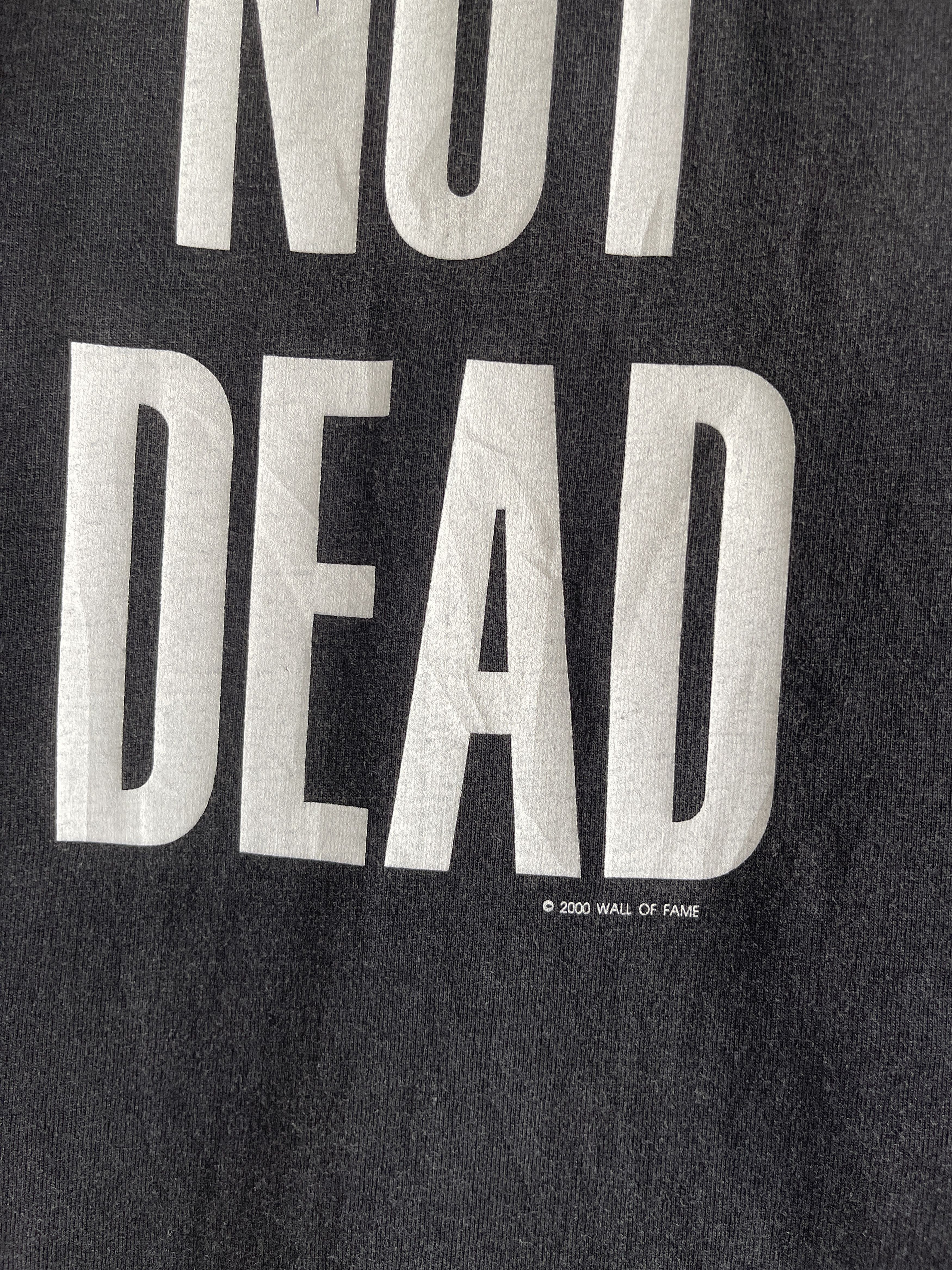 Band Tees Vintage 00s Sun Faded🔥ANARCHY🔥PUNK’S NOT DEAD Metal Band Tee Size US S / EU 44-46 / 1 - 8 Thumbnail