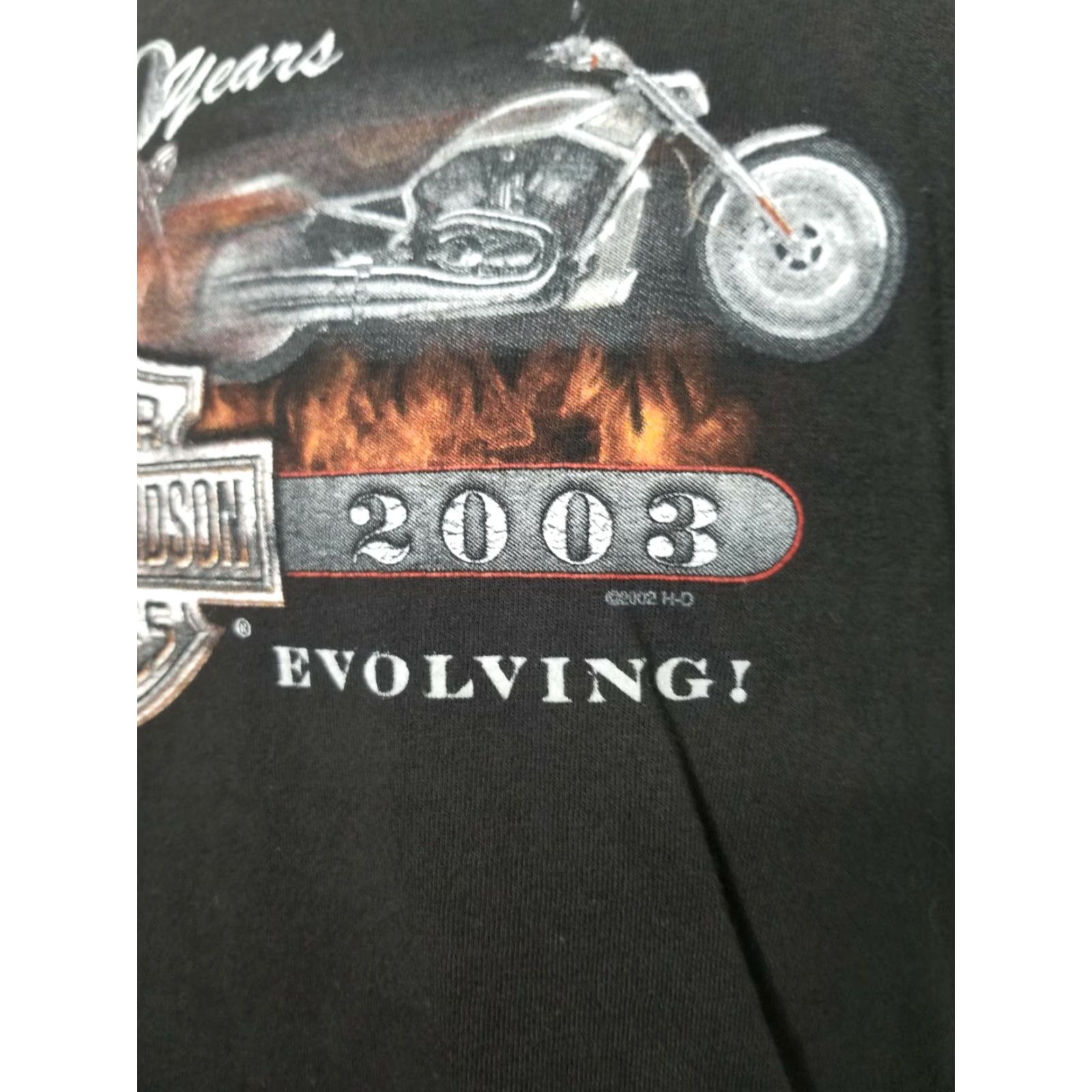 Harley Davidson VINTAGE Harley-Davidson T Shirt Mens Large Black 2002 100 Years Ashland KY Graphic Tee Short Sleeve Crew Neck Motorcycle Heritage Block Print Size US L / EU 52-54 / 3 - 3 Thumbnail