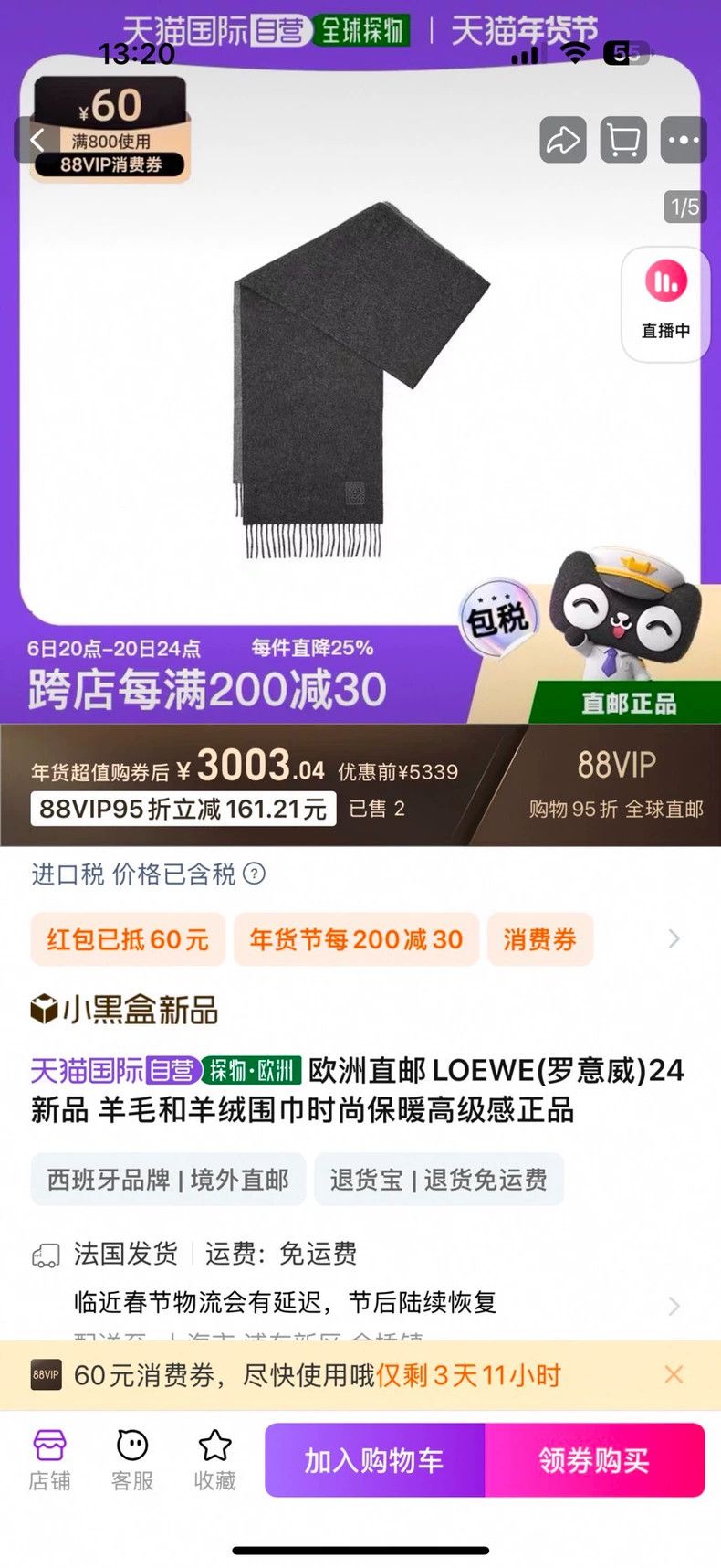 LOEWE scarf