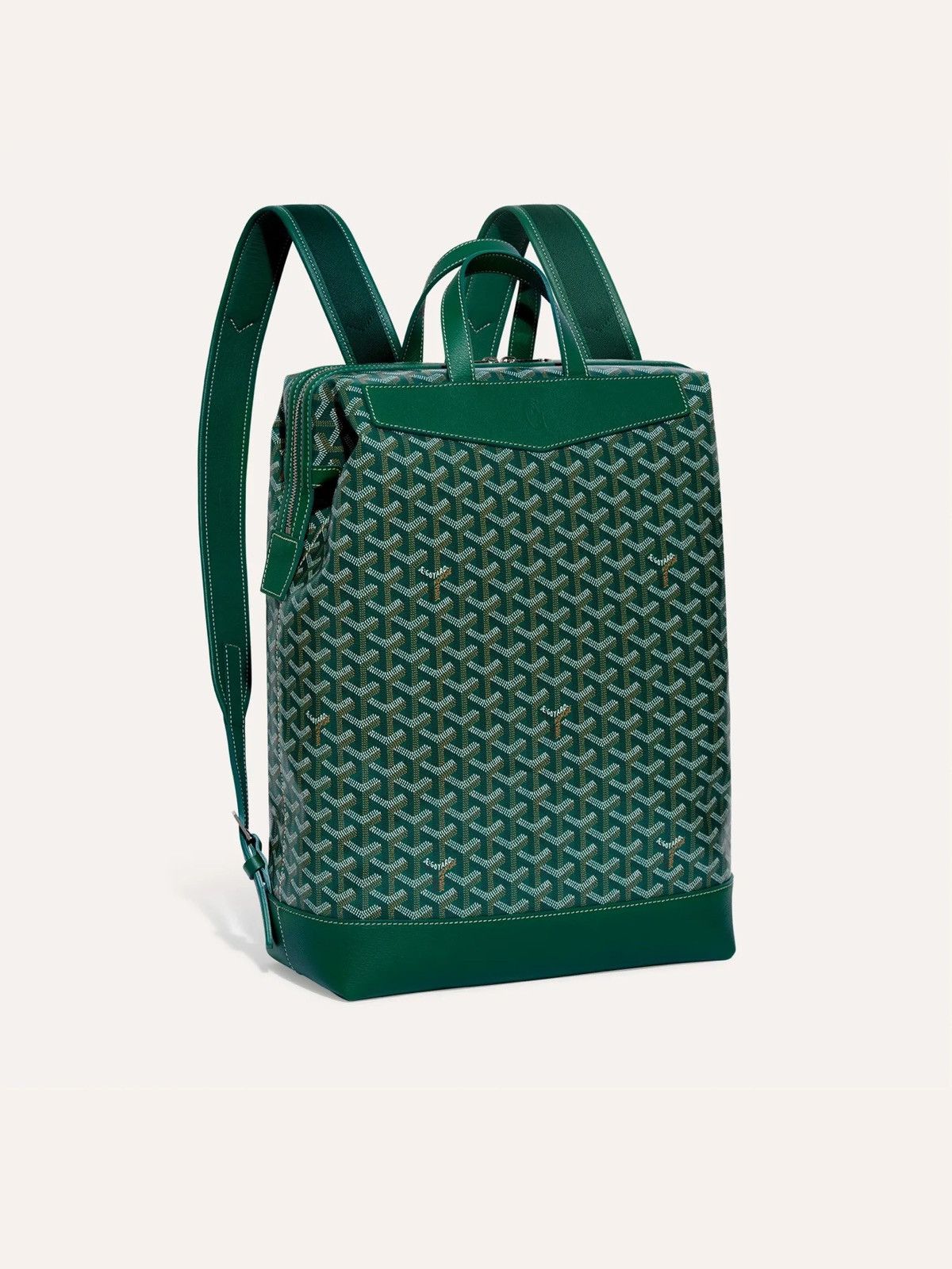 Cisalpin backpack