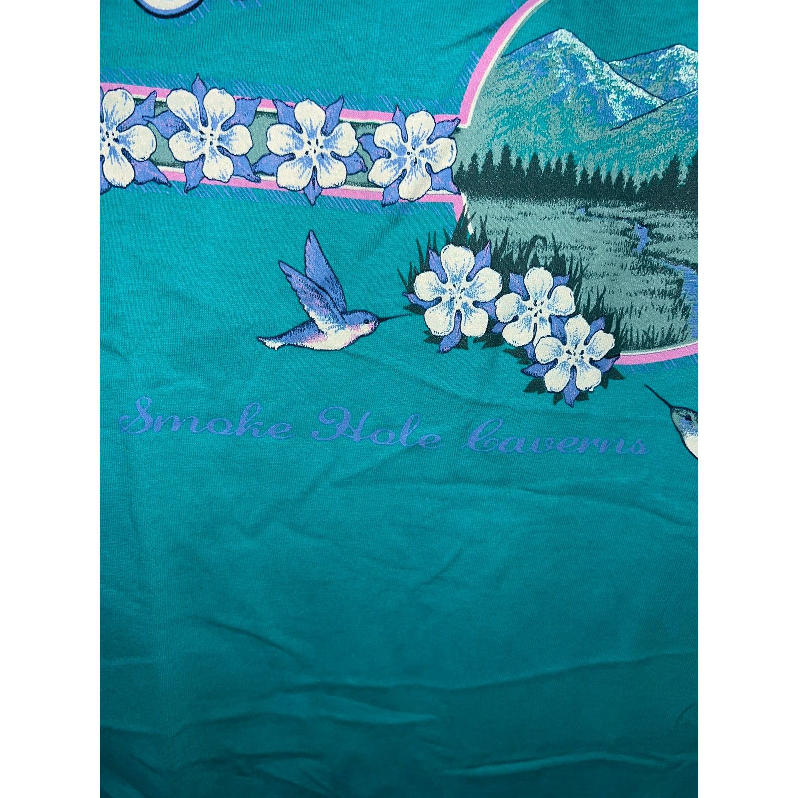 Jerzees Vintage West Virginia Shirt Nature Teal Tee VTG 90s L Size US L / EU 52-54 / 3 - 4 Thumbnail