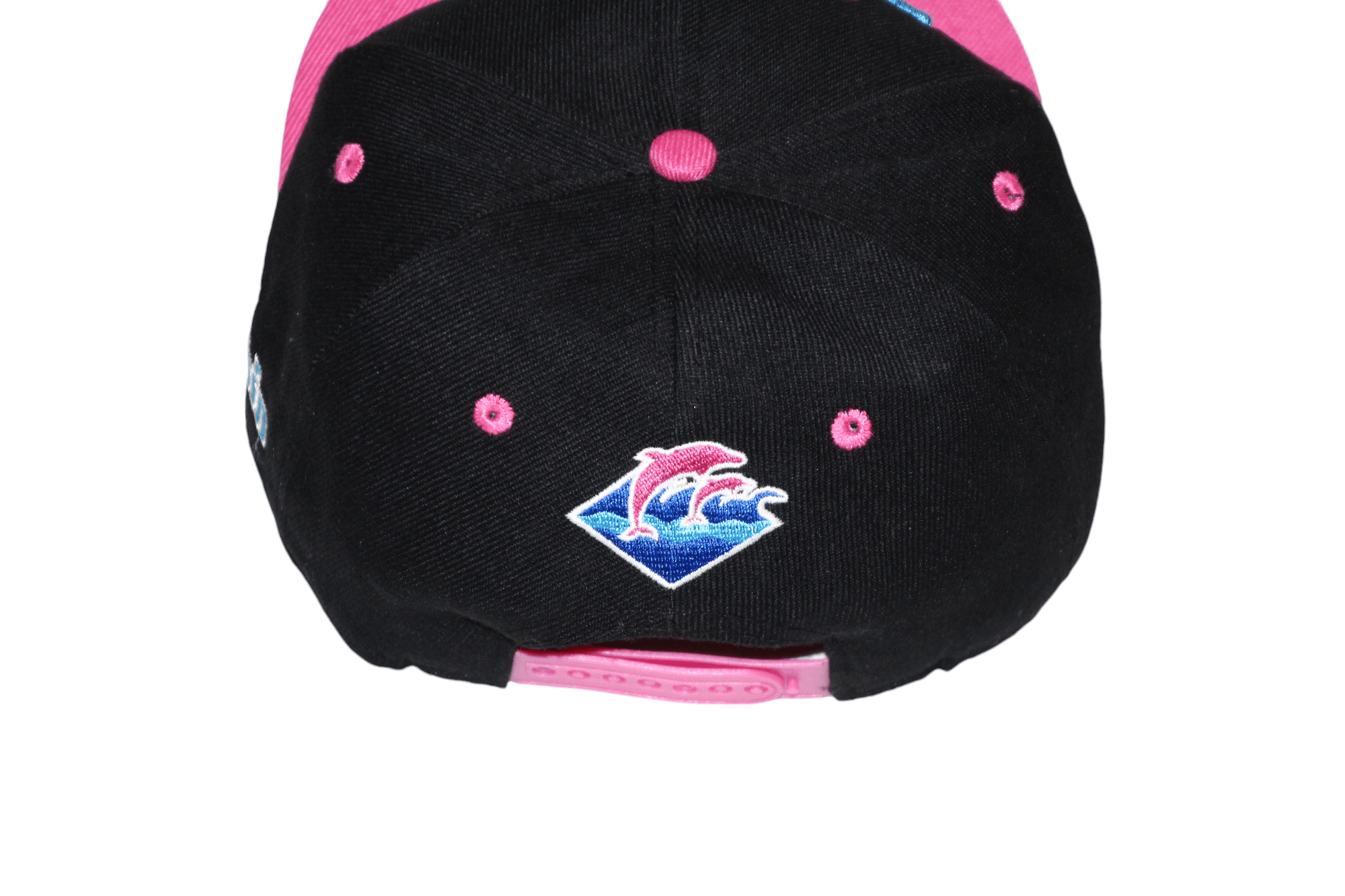 Pink Dolphin Vintage Pink + Dolphin Snapback Hat Size ONE SIZE - 6 Thumbnail