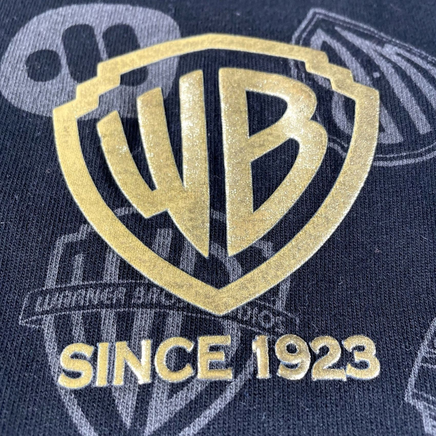 Vintage Warner Bros. Studios Spirit Jersey Adult L Black Logo Print 100th Anniversary Signature Theme Retro Movie Mens Regular Long Sleeve Size US L / EU 52-54 / 3 - 5 Thumbnail