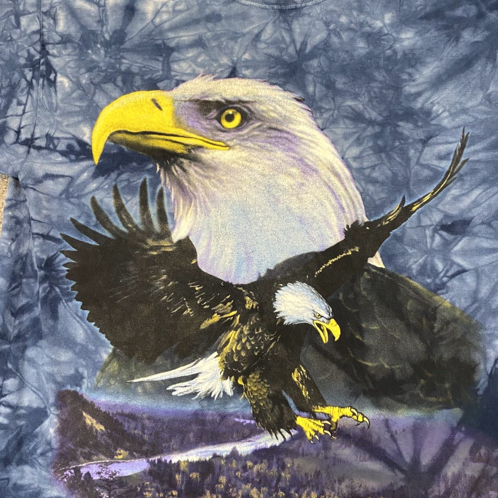 Gildan Gildan Eagle Shirt Men Large Blue Mountain Nature Animal Graphic Tee S/S Size US L / EU 52-54 / 3 - 2 Thumbnail