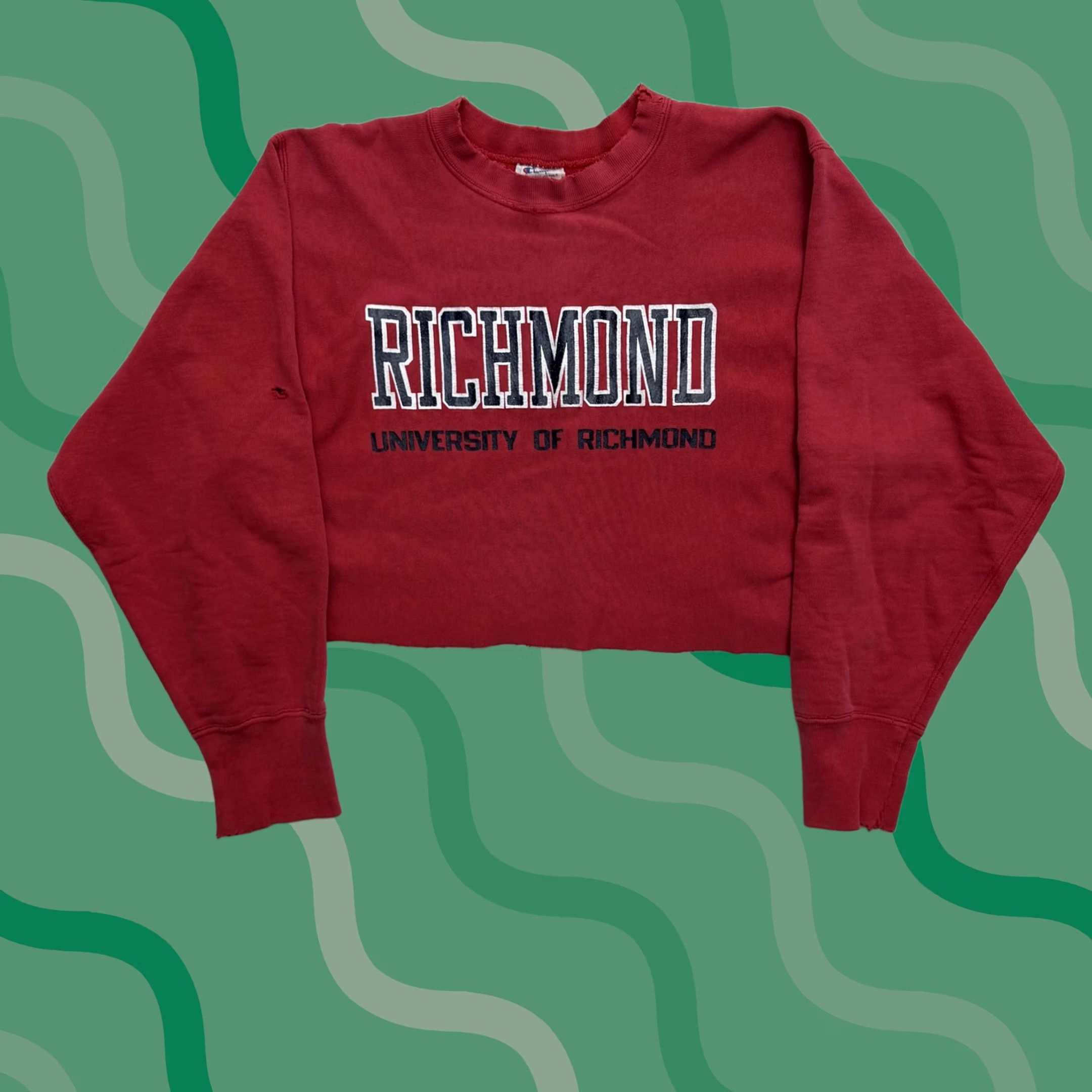 Champion VINTAGE Champion Reverse Weave Sweatshirt Richmond 