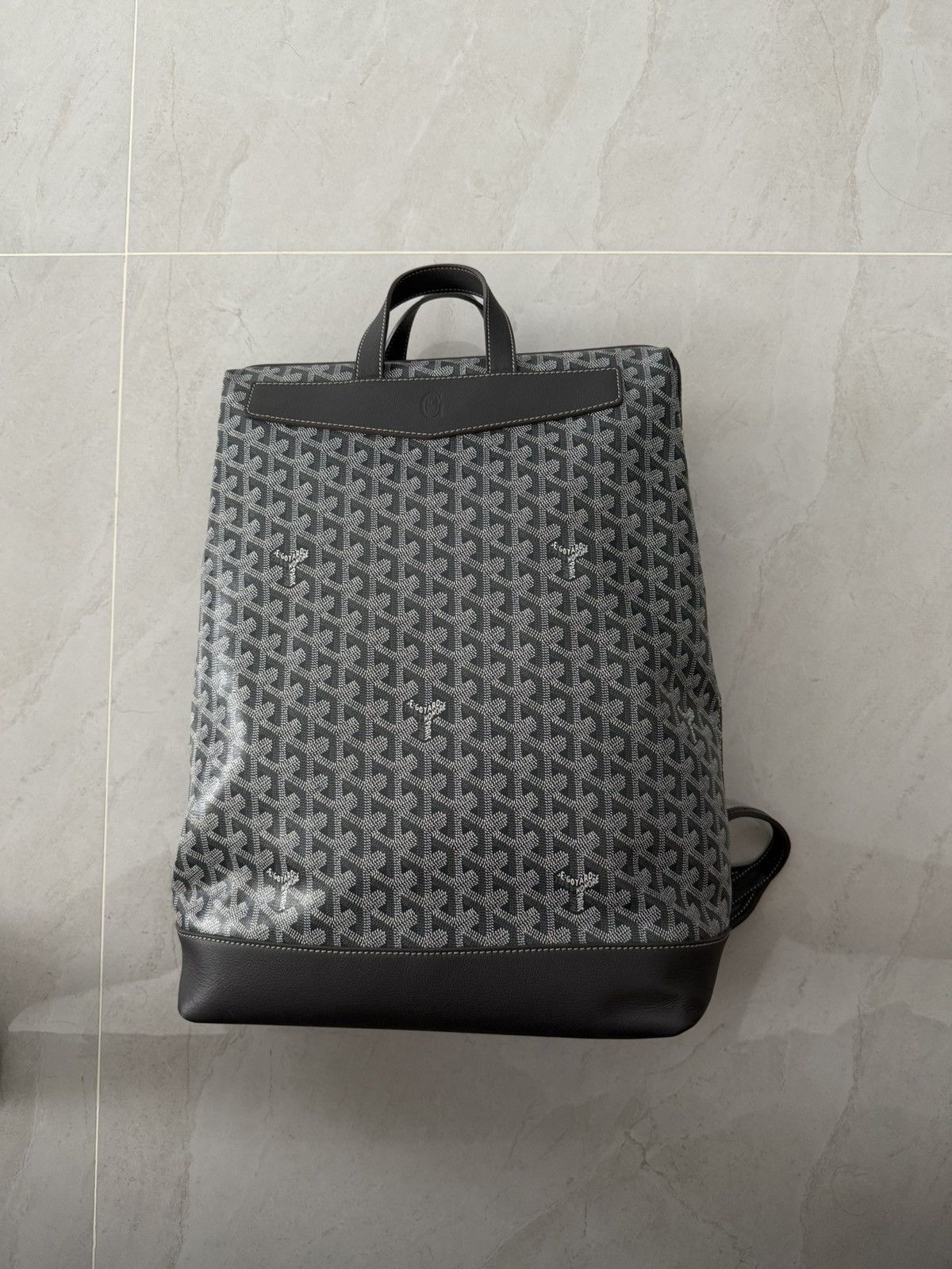 Goyard Calfskin Grey Cisalpin MM Backpack