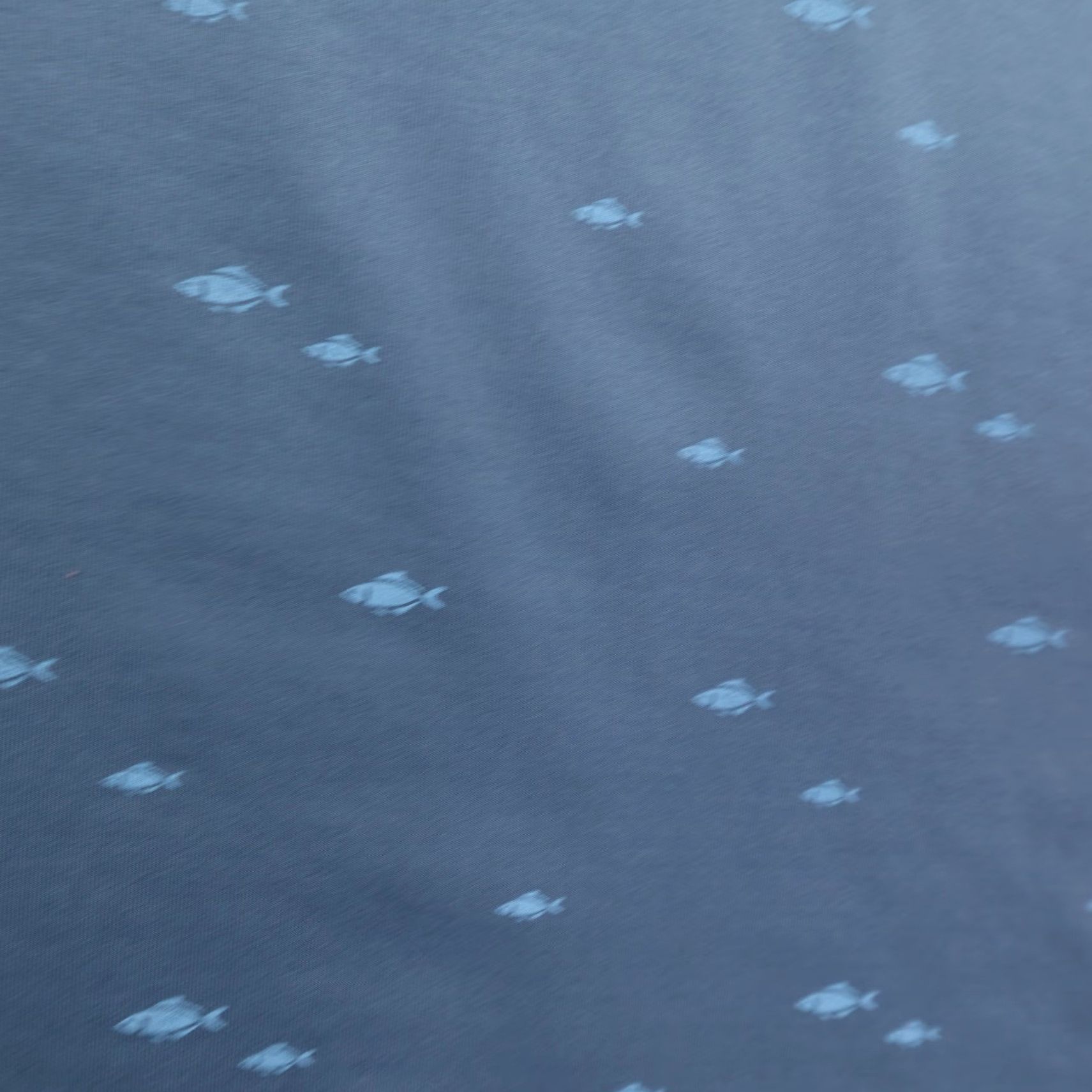 Footjoy FootJoy Polo Shirt Mens Medium Blue Fish Print Performance Short Sleeve Golf Shirt Size US M / EU 48-50 / 2 - 4 Thumbnail