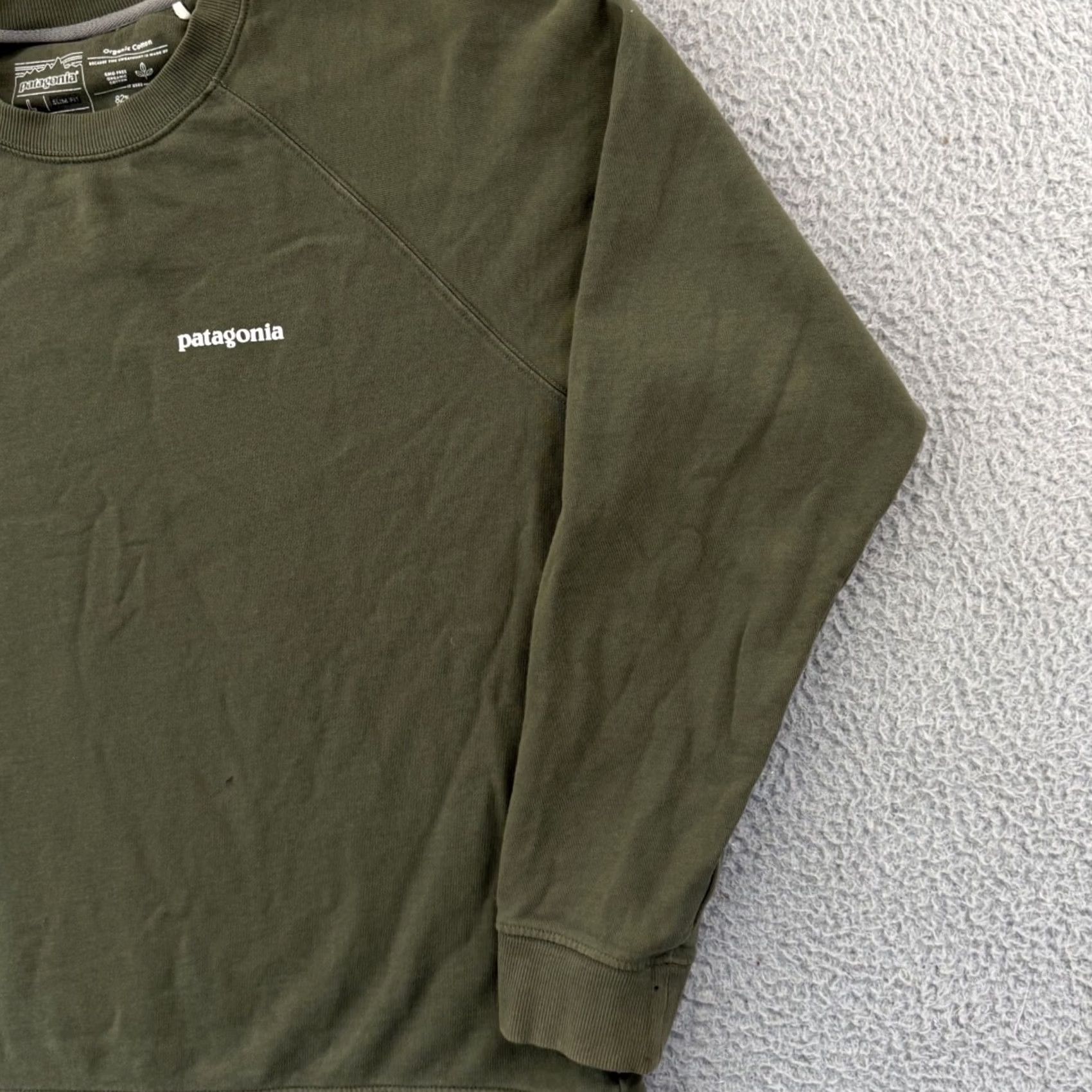 Patagonia Patagonia Shirt Mens Large Green Nature Hiking Slim Fit Long Sleeve Outdoor Shirt Size US L / EU 52-54 / 3 - 5 Thumbnail