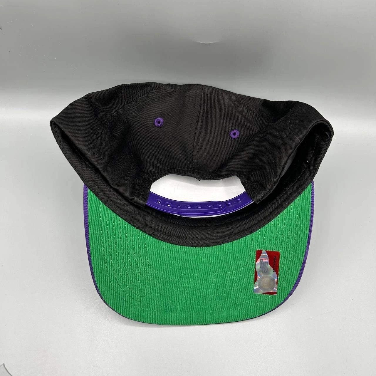 Other Vintage Northern Iowa Panthers Hat Eclipse Snap Back Cotton Size ONE SIZE - 5 Thumbnail