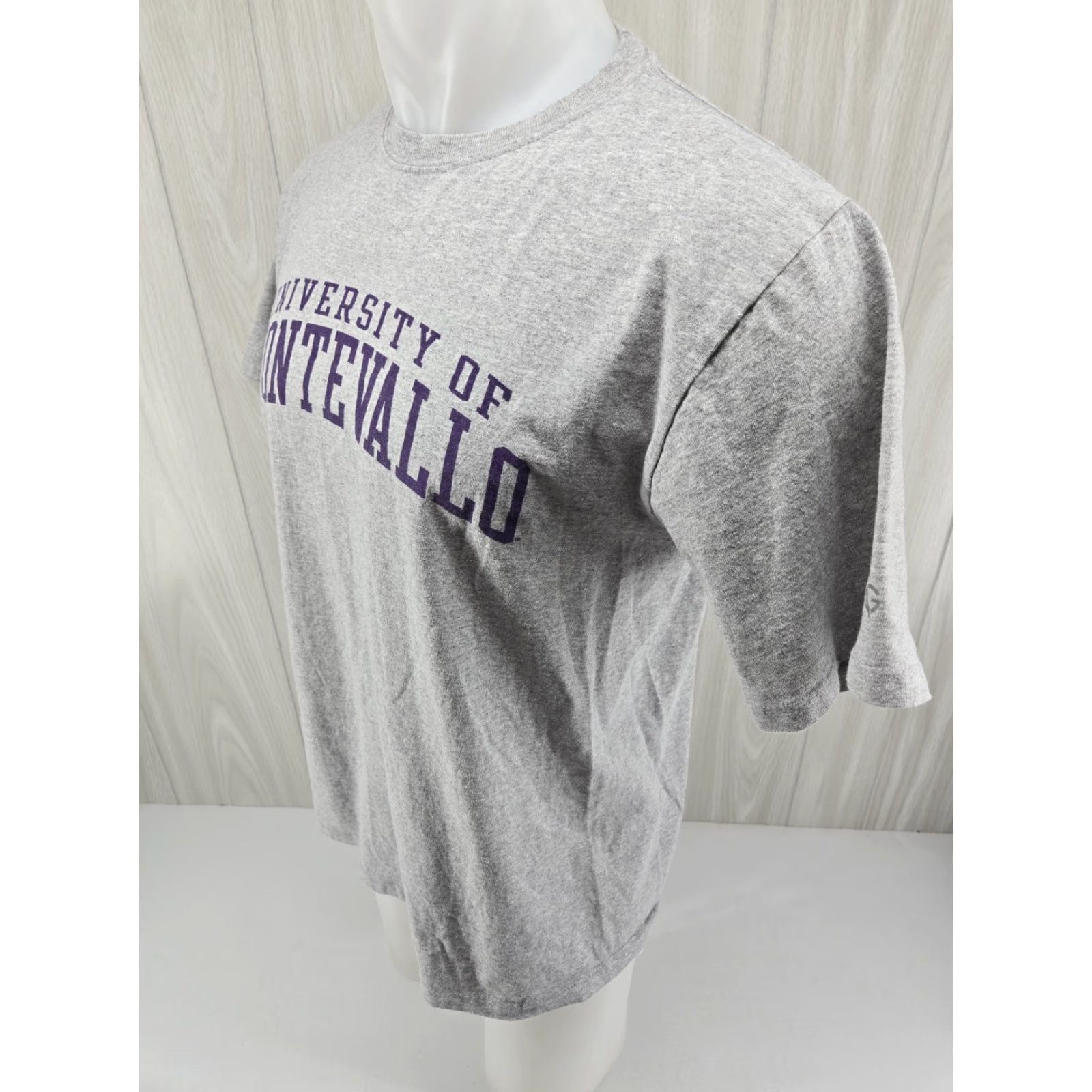 Vintage University of Montevallo Falcons UM T Shirt Size Large Gray Men Regular Cotton Short Sleeve Vintage No N/A Size US L / EU 52-54 / 3 - 5 Thumbnail
