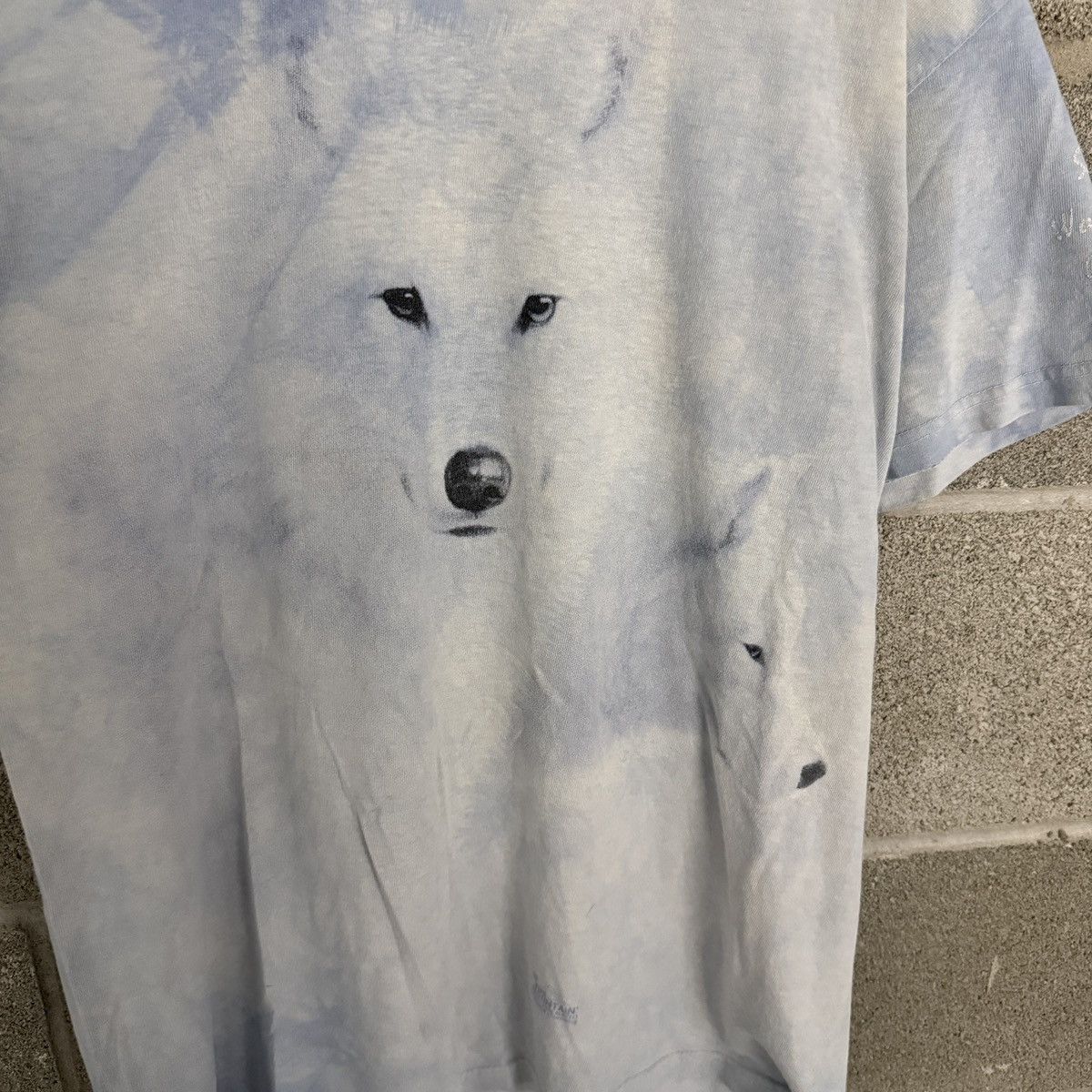The Mountain Vintage 2005 The Mountain Wolf Blue Nature Tee Mens Medium Size US M / EU 48-50 / 2 - 3 Thumbnail