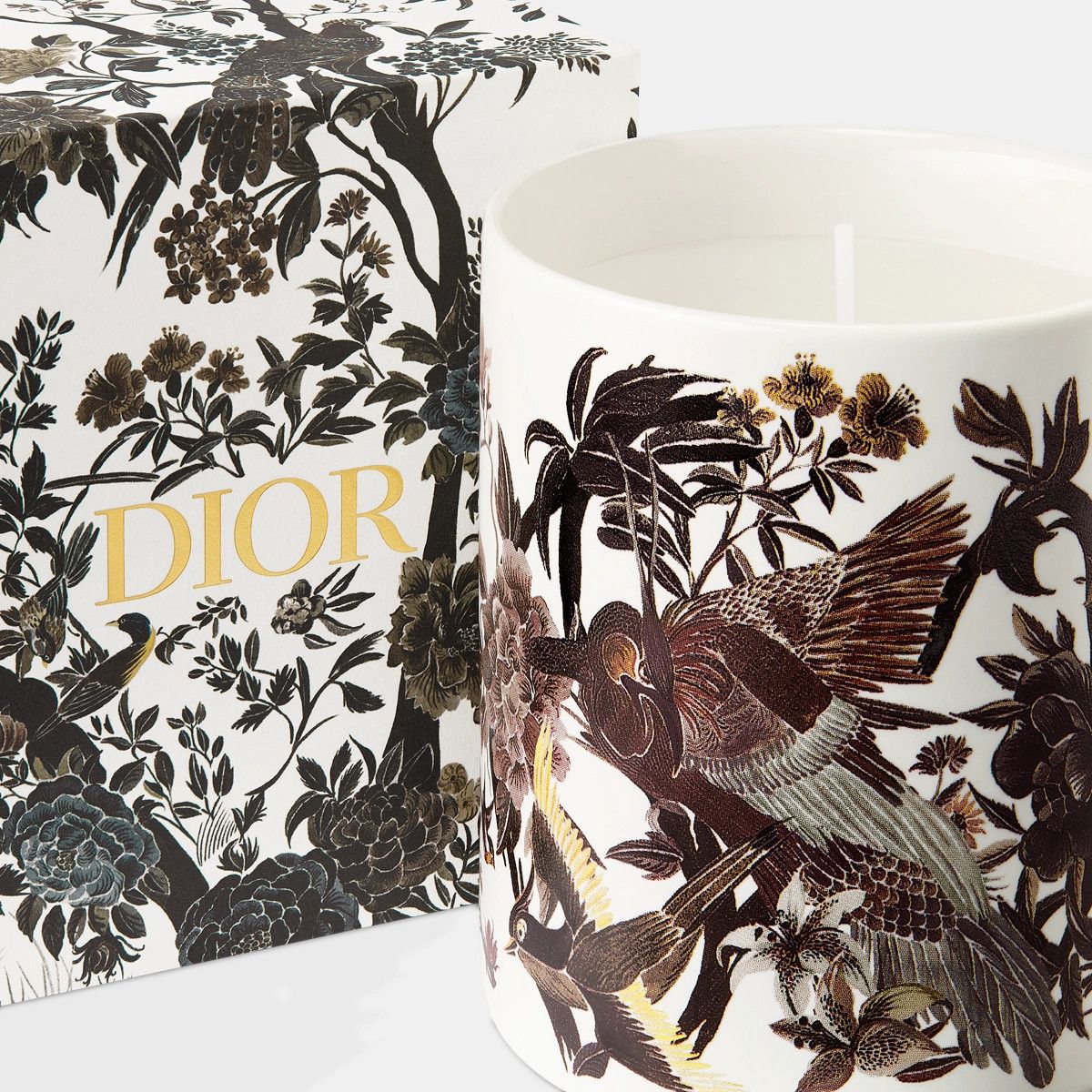 Dior o1bcso1str0125 Candle in Night Bird Size ONE SIZE - 3 Thumbnail