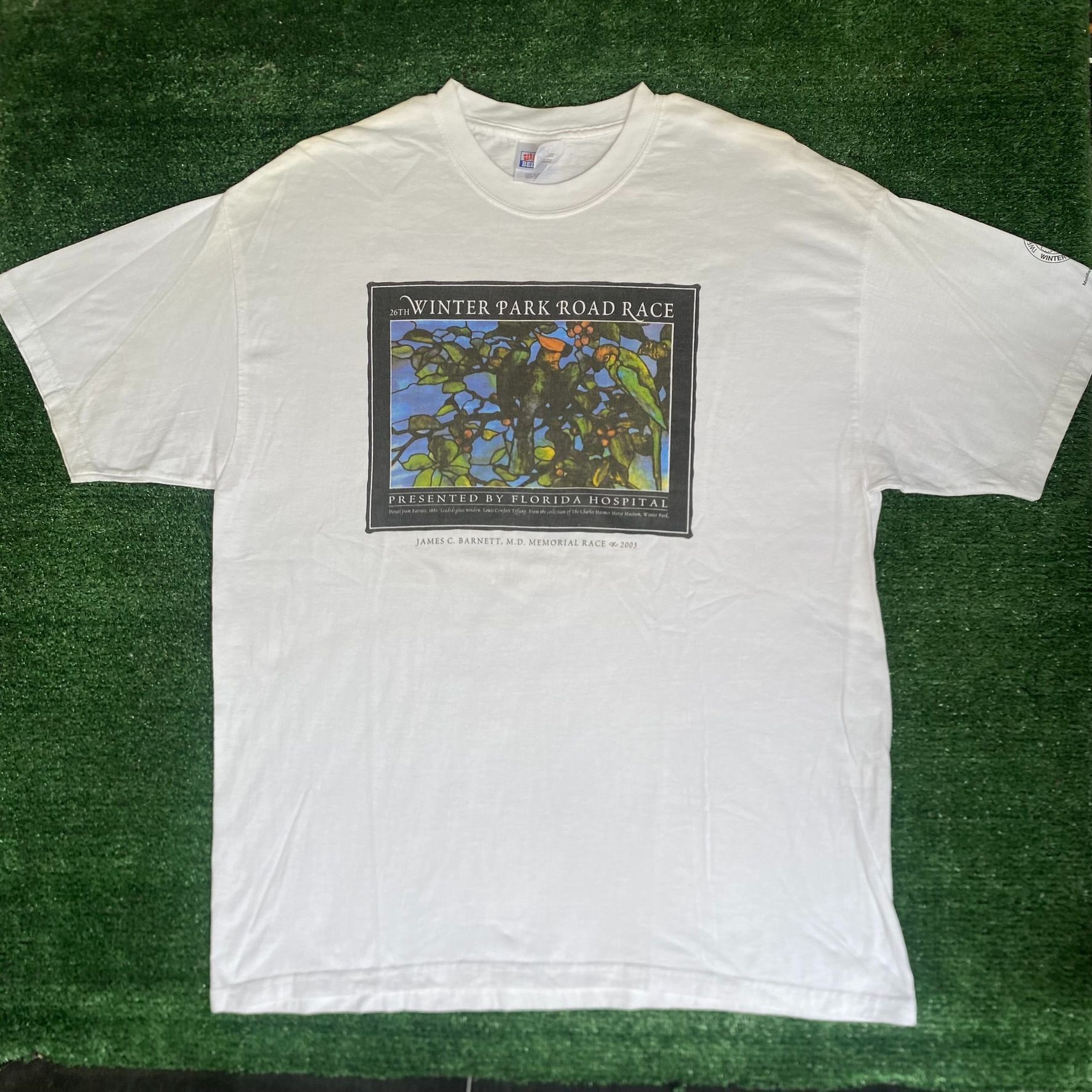 Hanes Vintage Y2K Birds Nature T-Shirt Wildlife Artwork Cottage Size US L / EU 52-54 / 3 - 1 Thumbnail