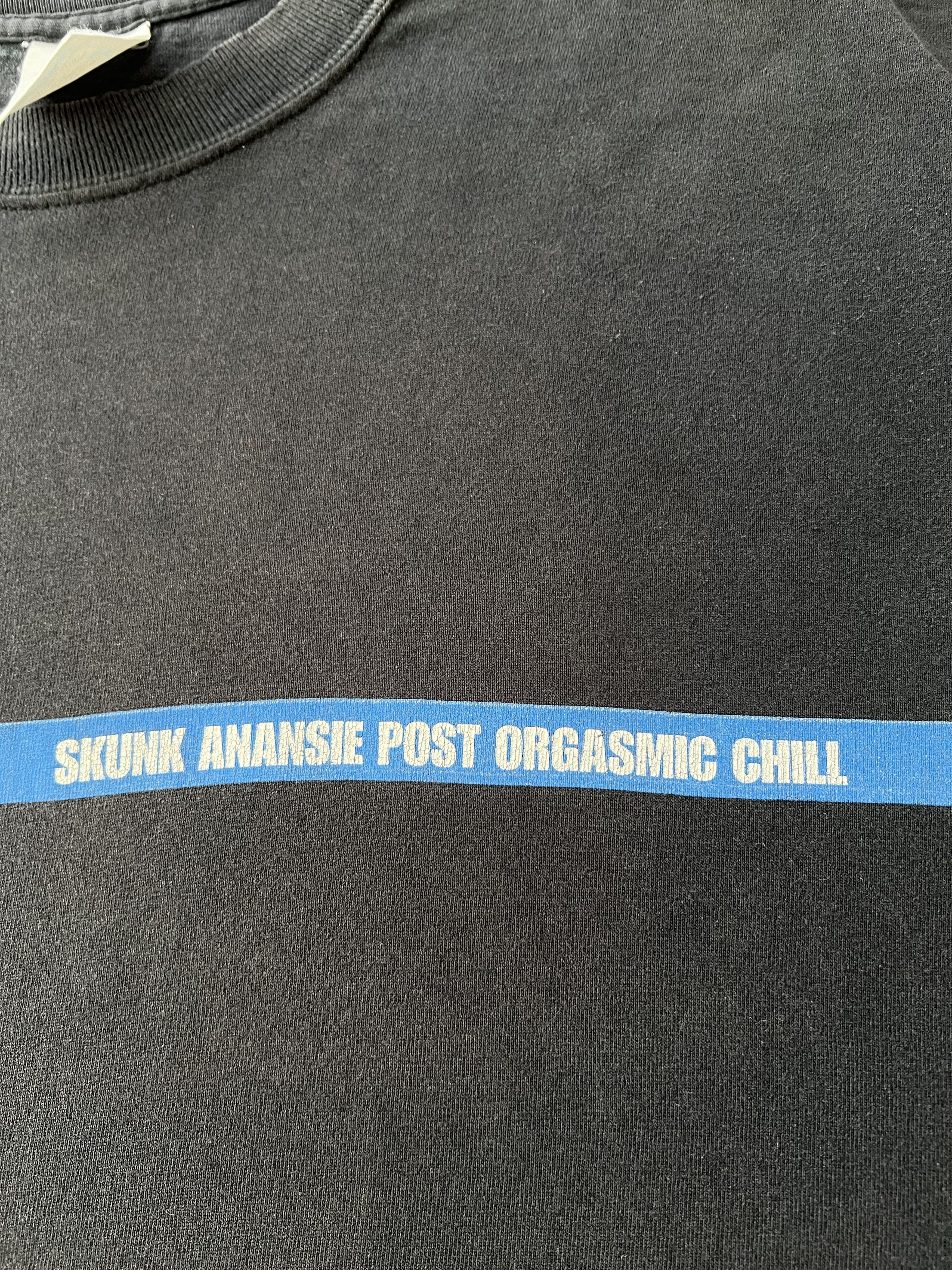 Band Tees Vintage 90s Skunk Anansie Post Orgasmic Chill Black T-shirt Size US XL / EU 56 / 4 - 5 Thumbnail