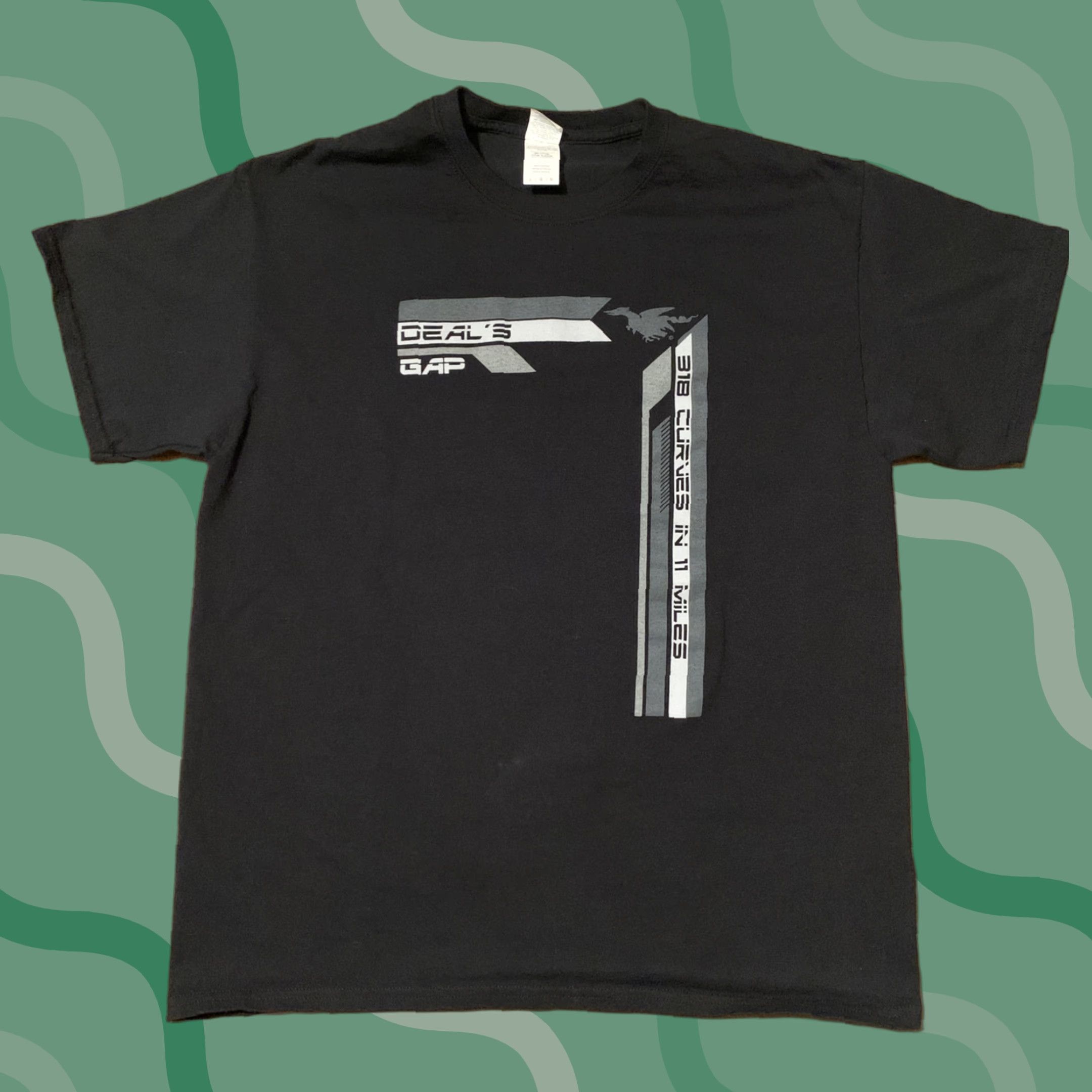Gildan GILDAN Deal's Gap 318 Curves T-Shirt Men's Large Black Cotton Size US L / EU 52-54 / 3 - 1 Thumbnail