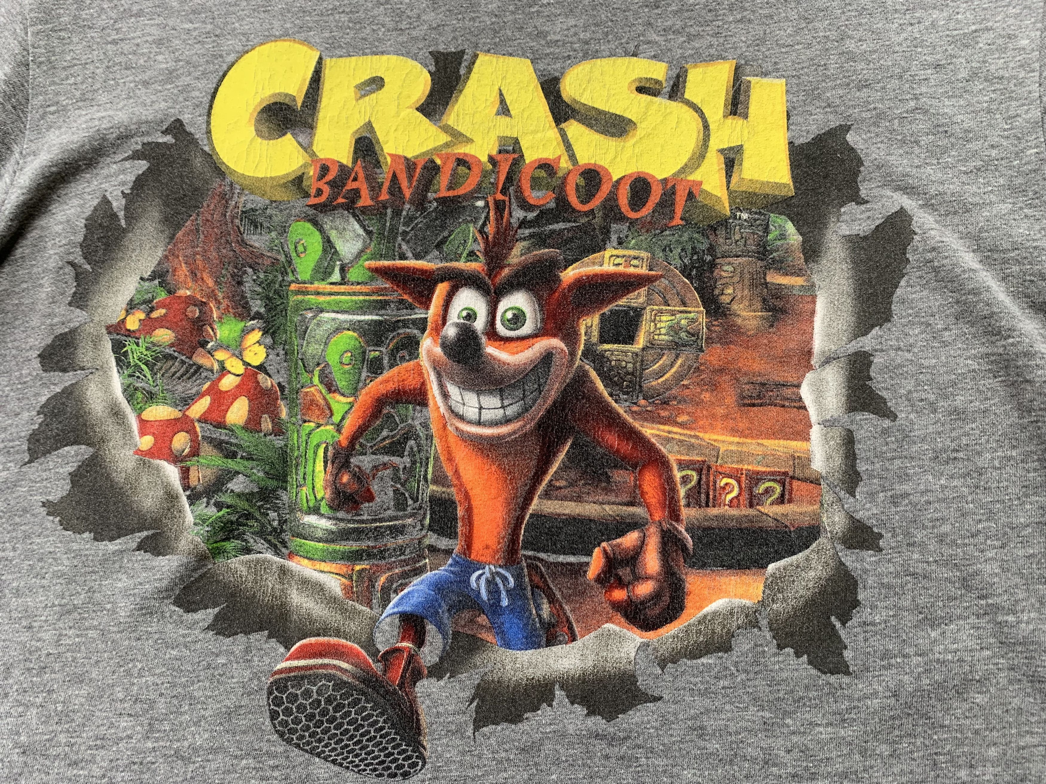 Cartoon Network Crash Bandicoot Grey Printed T-Shirt Size US L / EU 52-54 / 3 - 5 Thumbnail