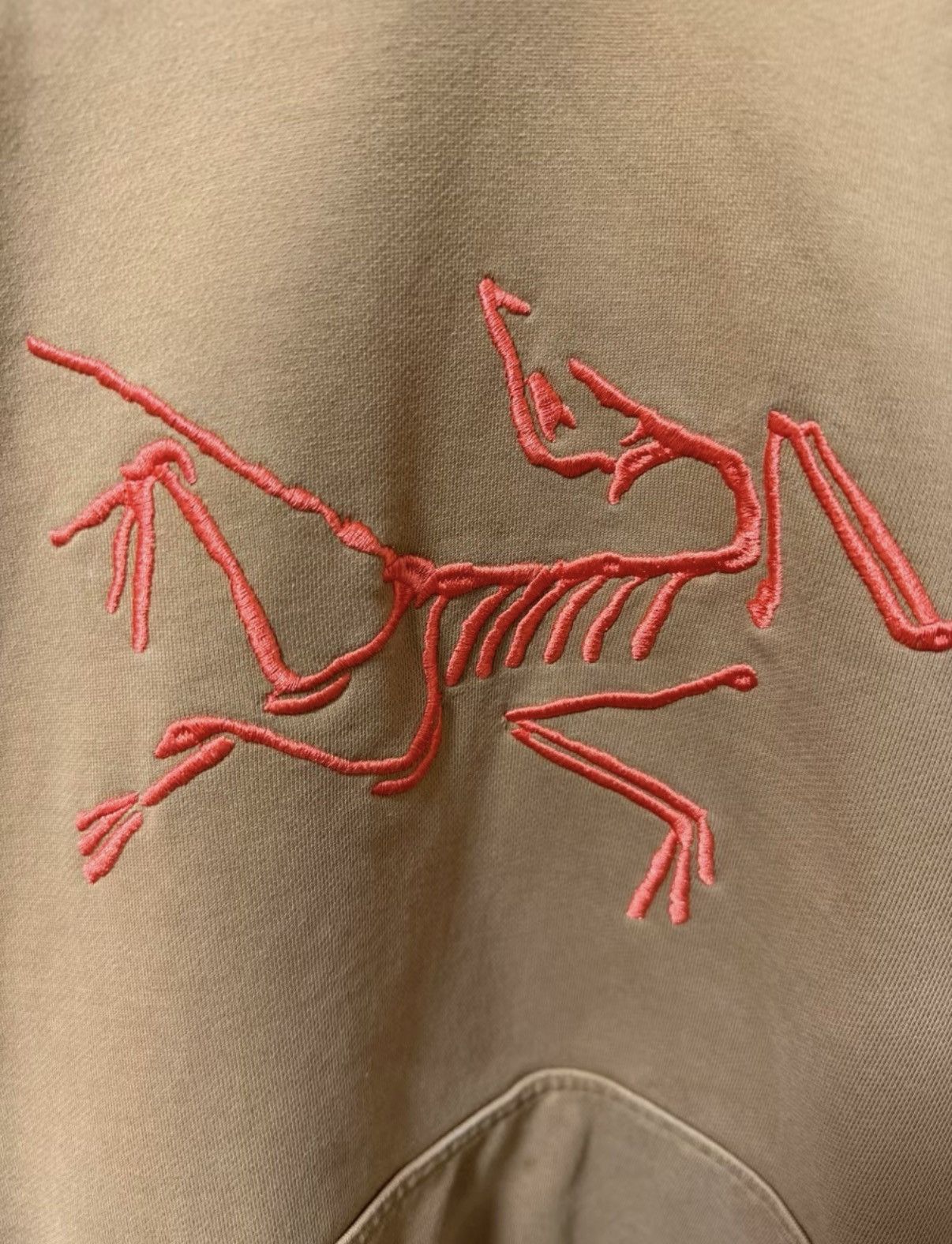 Arc'teryx Arc'teryx x Palace Embroidered Hoodie Size US M / EU 48-50 / 2 - 2 Thumbnail
