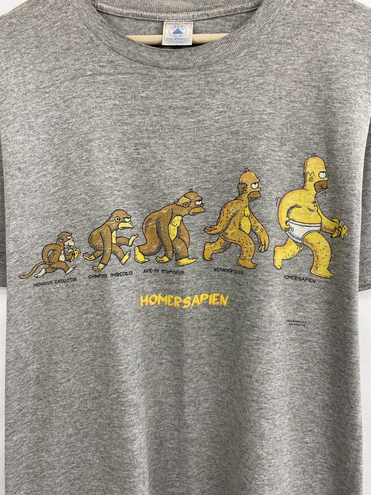 Delta 🇺🇸 Vintage 2000 Homersapien The Simpsons Homer Bart Lisa Size US L / EU 52-54 / 3 - 4 Thumbnail