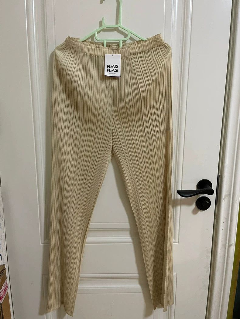 Issey Miyake Issey Miyake size:2 Brown pleated trousers and straight-le Size 22" - 1 Thumbnail