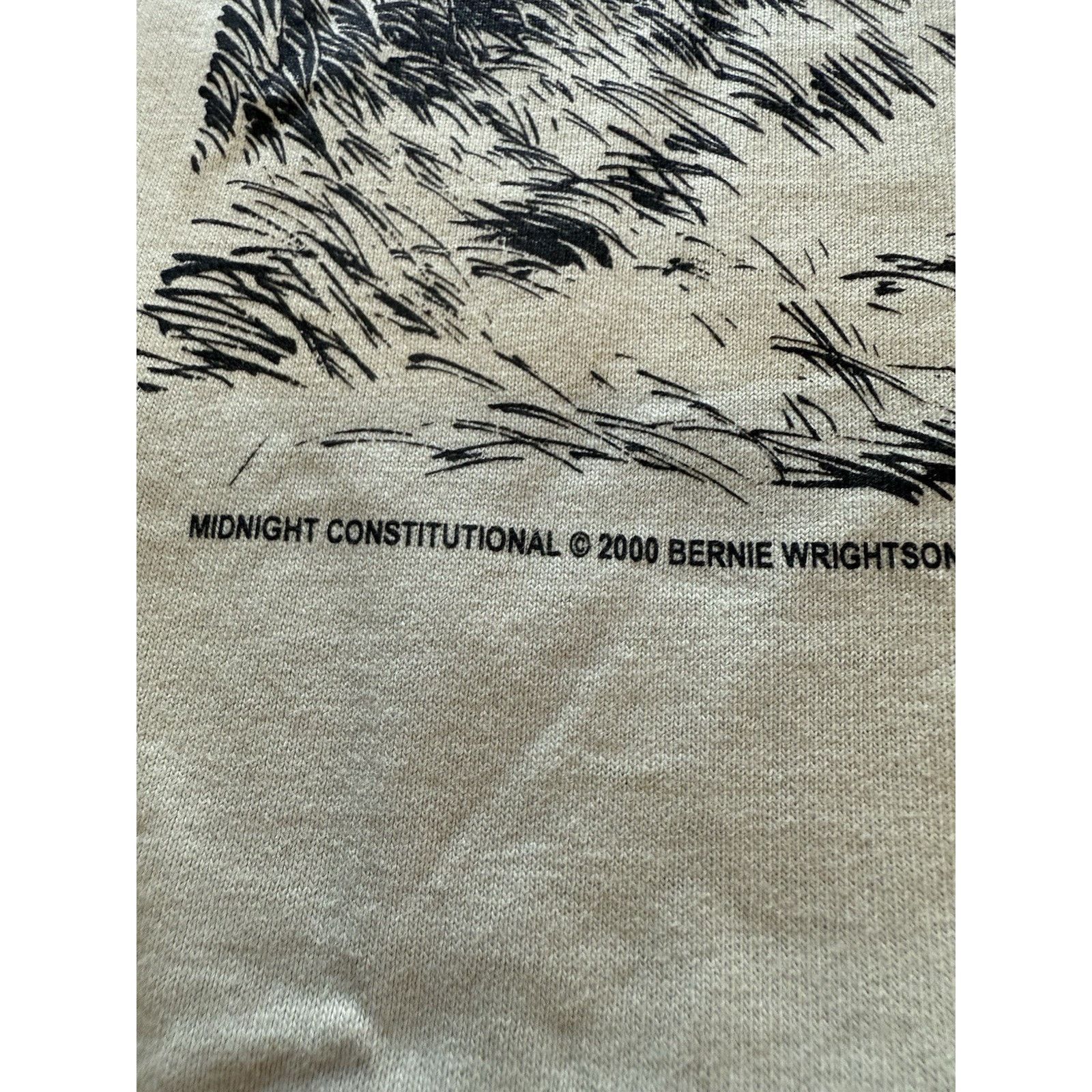 Fruit Of The Loom 2000 Bernie Wrightson Midnight Constitutional Zombie T-Shirt Size US XL / EU 56 / 4 - 4 Thumbnail