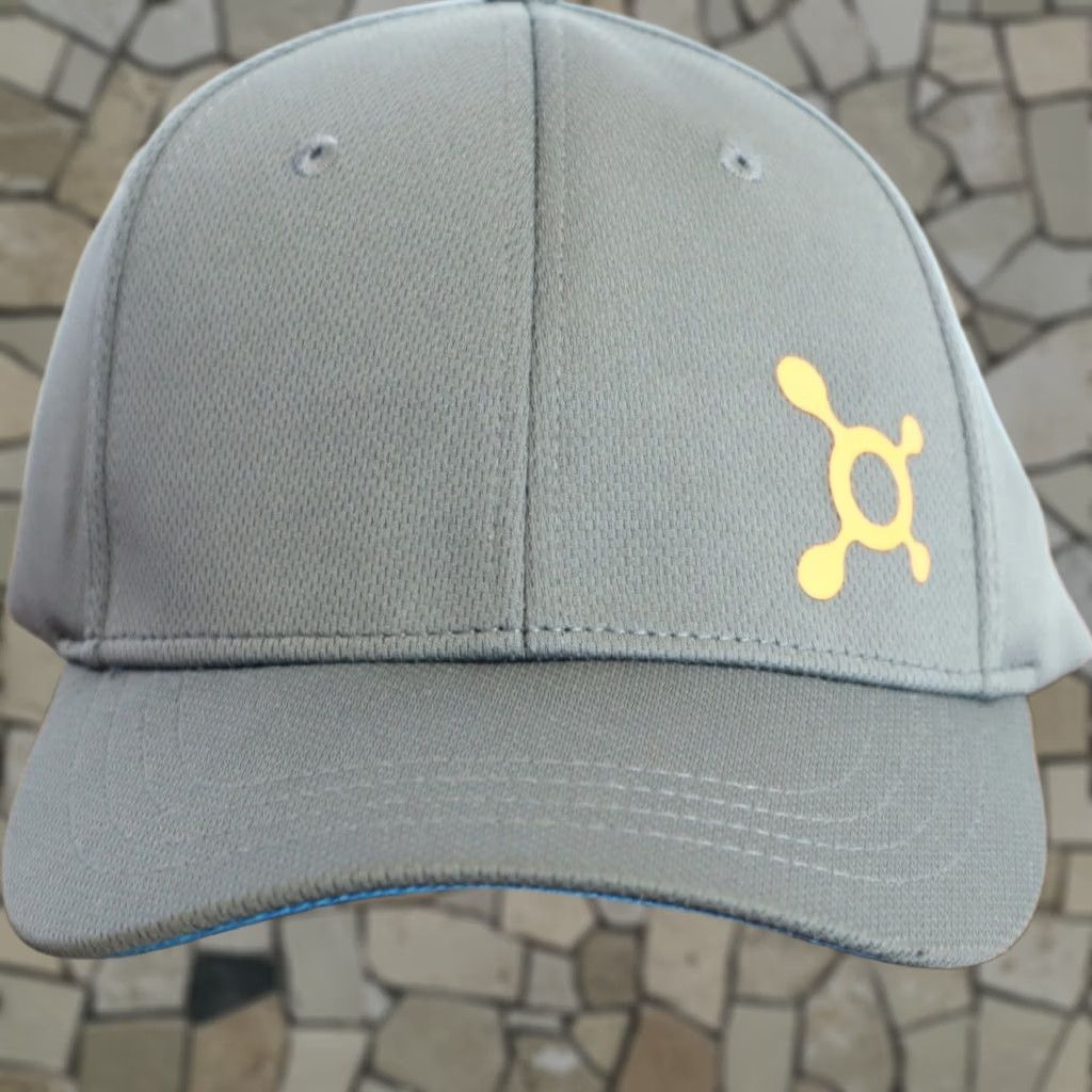 Theory Orange Theory Fitness Training Gray Strapback Hat Mens One Size Gray Snapback Hat Size ONE SIZE - 1 Thumbnail