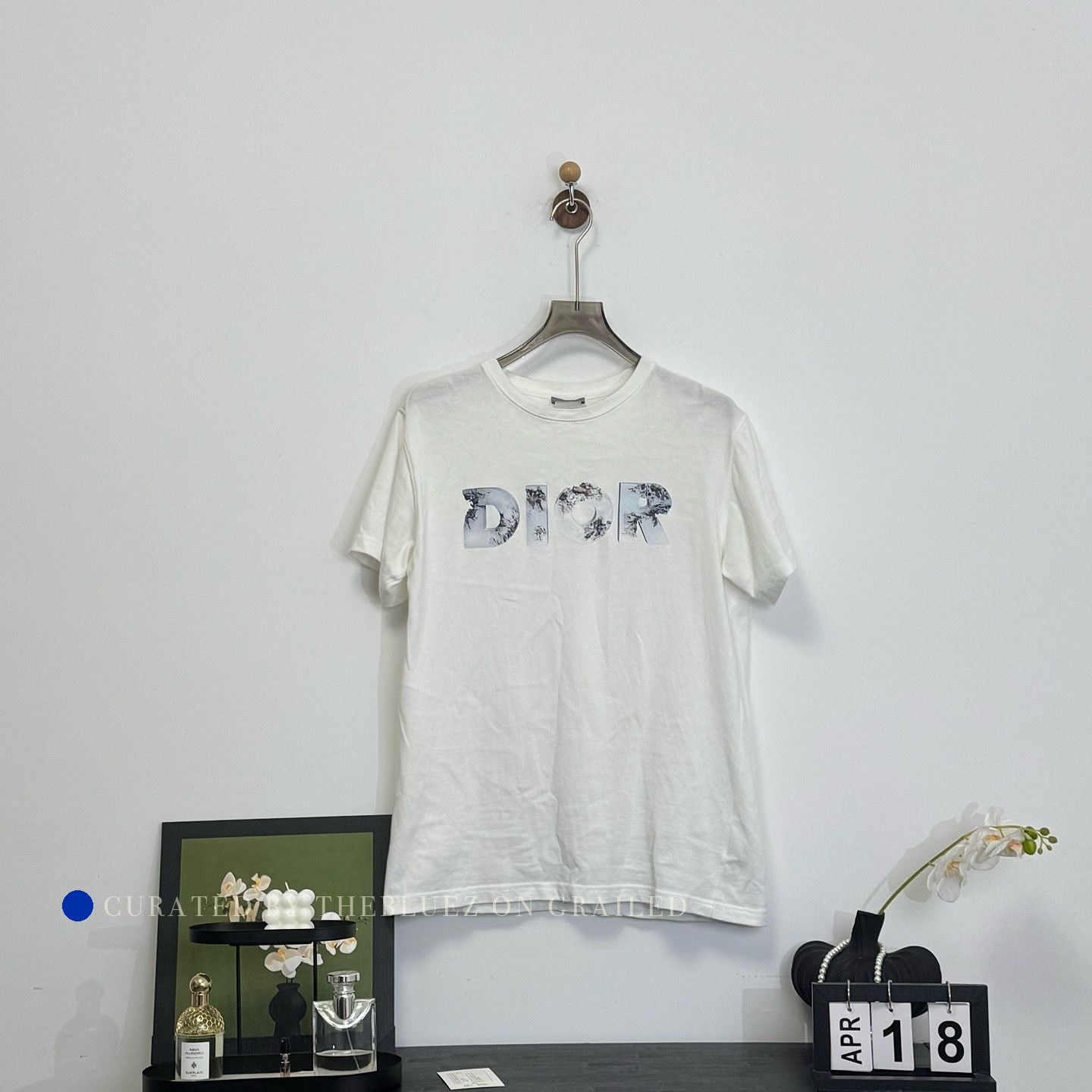 Dior Limited Edition Logo T-Shirt in White Size US S / EU 44-46 / 1 - 1 Thumbnail