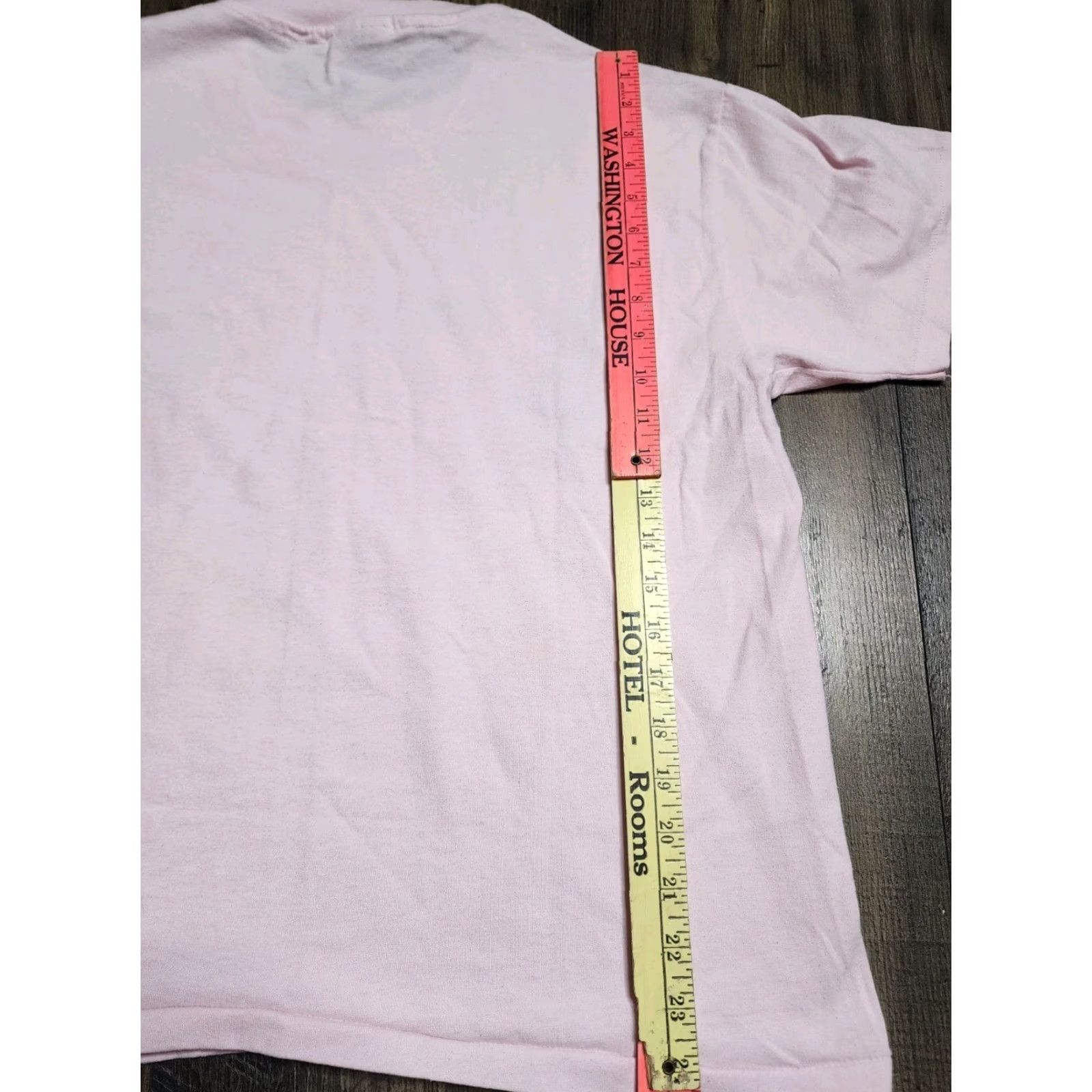 Hanes Vintage Hanes Mens Large Pink Rainbow Row Charleston SC Tourist Souvenir T-Shirt 90s Travel South Carolina Crew Neck Short Sleeve Size L / US 10 / IT 46 - 2 Thumbnail