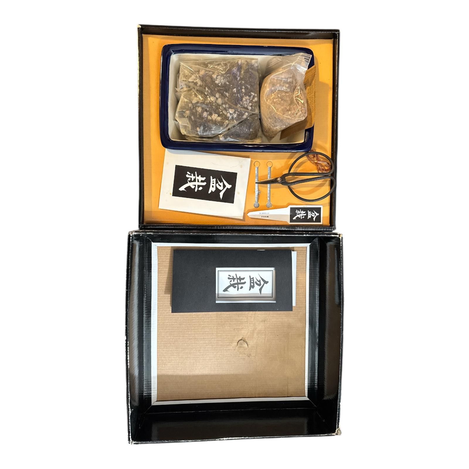 Other Vintage Bonsai Tree Growing Kit with Tools and Japanese Pine Size ONE SIZE - 2 Thumbnail