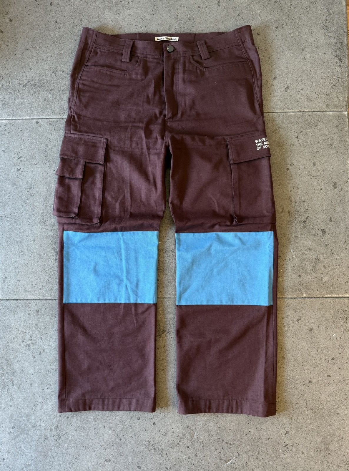 Acne Studios Acne Studios Cargo Pants “Water the mirror of science” Benee Size US 32 / EU 48 - 1 Thumbnail