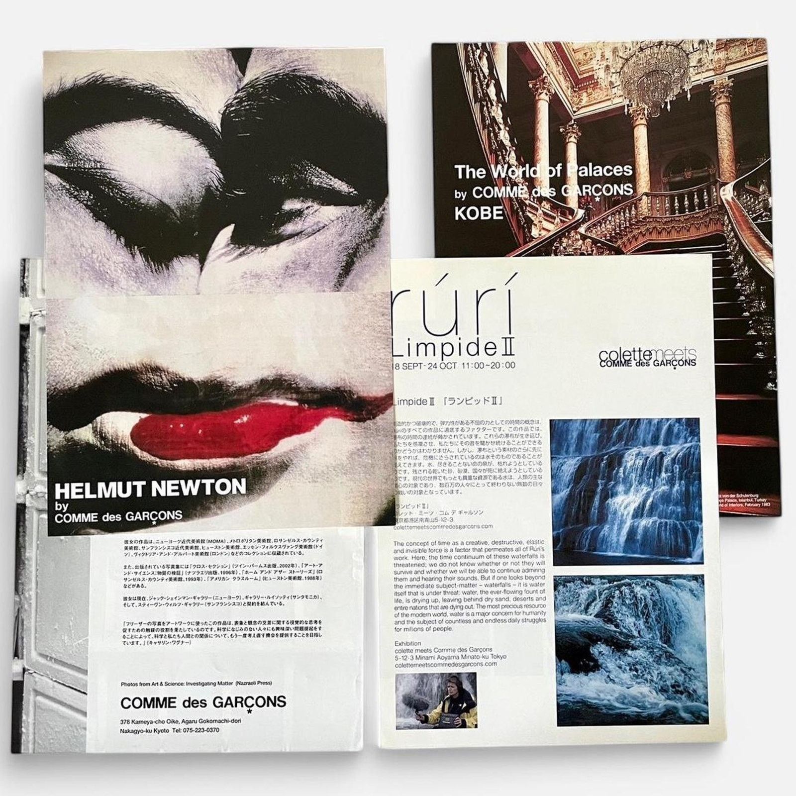 Comme des Garcons × Japanese Brand × Rei Kawakubo Helmut Newton by