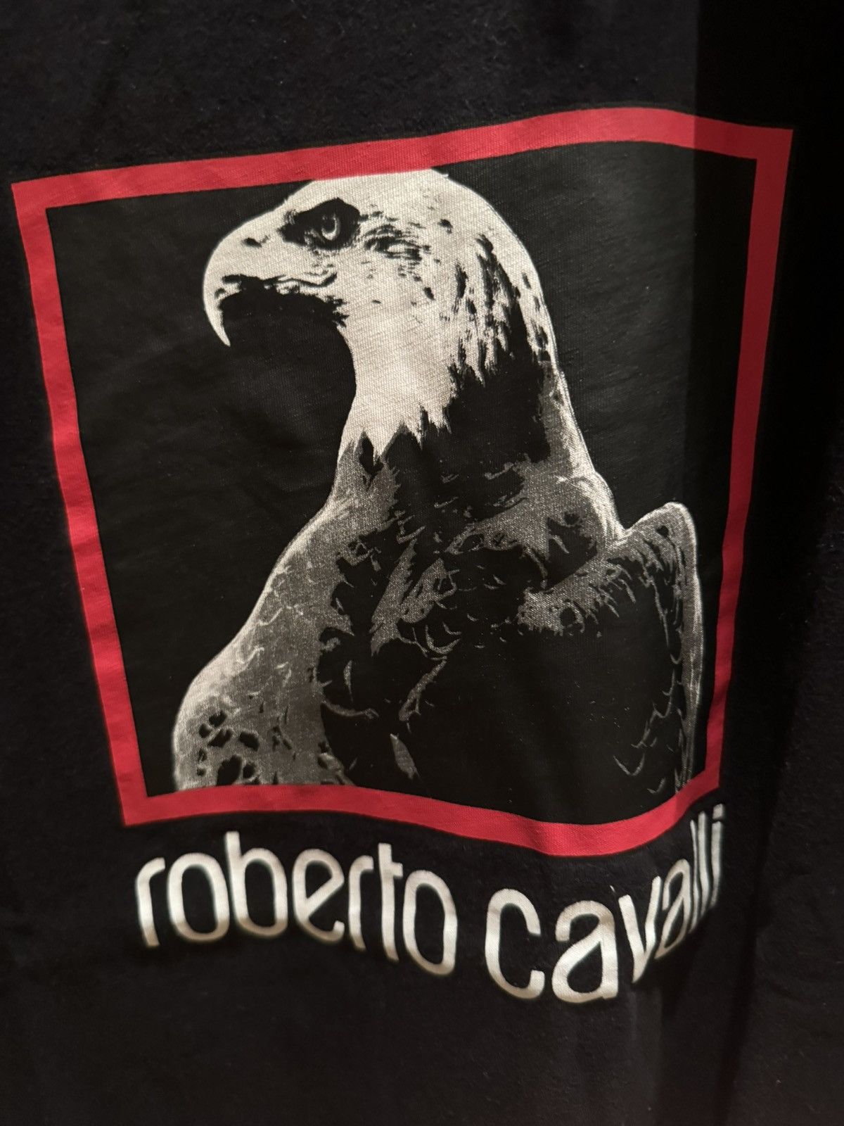 Roberto Cavalli Roberto Cavalli Eagle T-Shirt Size US L / EU 52-54 / 3 - 2 Thumbnail