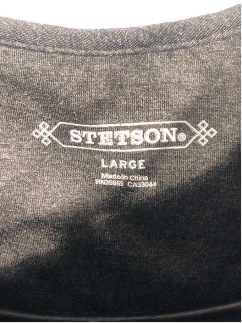Stetson Stetson large cowgirl dress rodeo style casual Size L / US 10 / IT 46 - 2 Thumbnail