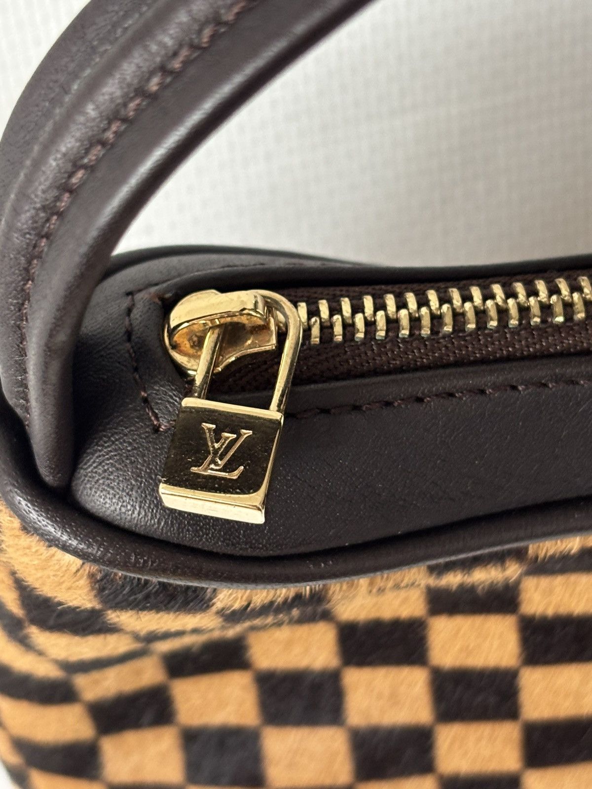 Louis Vuitton Louis Vuitton Damier Sauvage Tiger ponyhair bag Size ONE SIZE - 8 Thumbnail