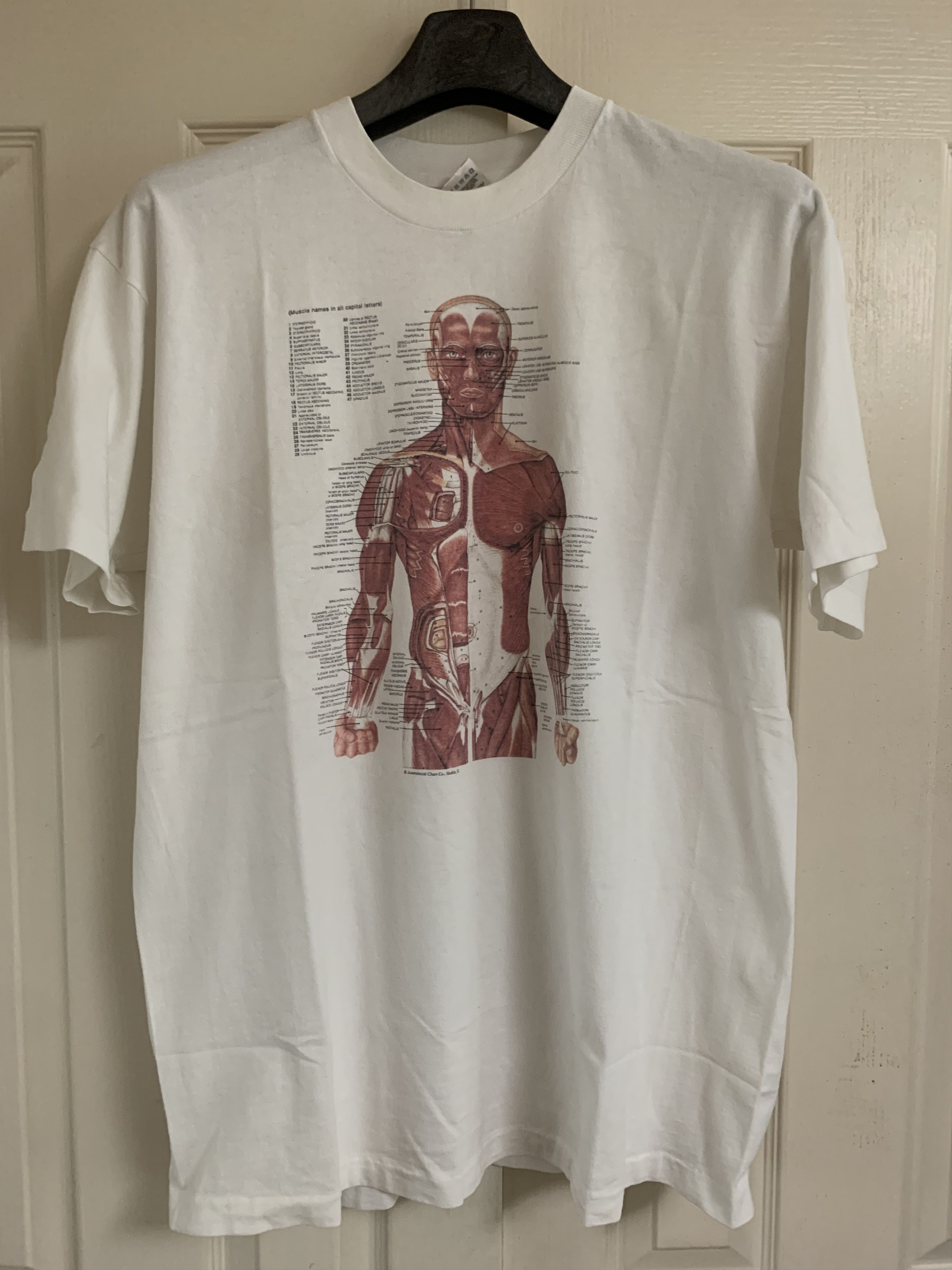 Vintage kurt cobain anatomical anatomy t shirt rare | Grailed