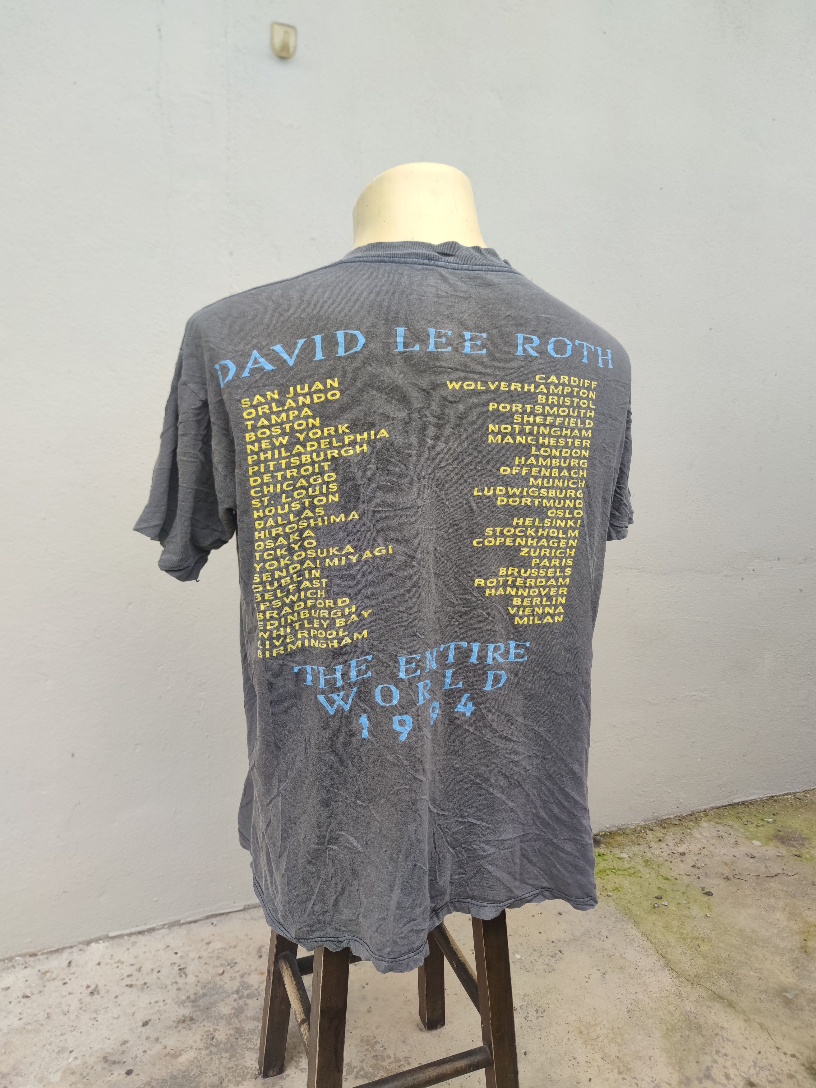 Band Tees Vintage 1994 David Lee Roth The Entire World Tour Tee Size US L / EU 52-54 / 3 - 10 Thumbnail