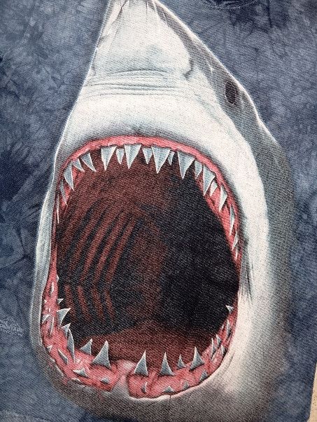 The Mountain Y2K 2009 Jaws 🦈 The Mountain Tiedye Tshirt Size US S / EU 44-46 / 1 - 2 Thumbnail