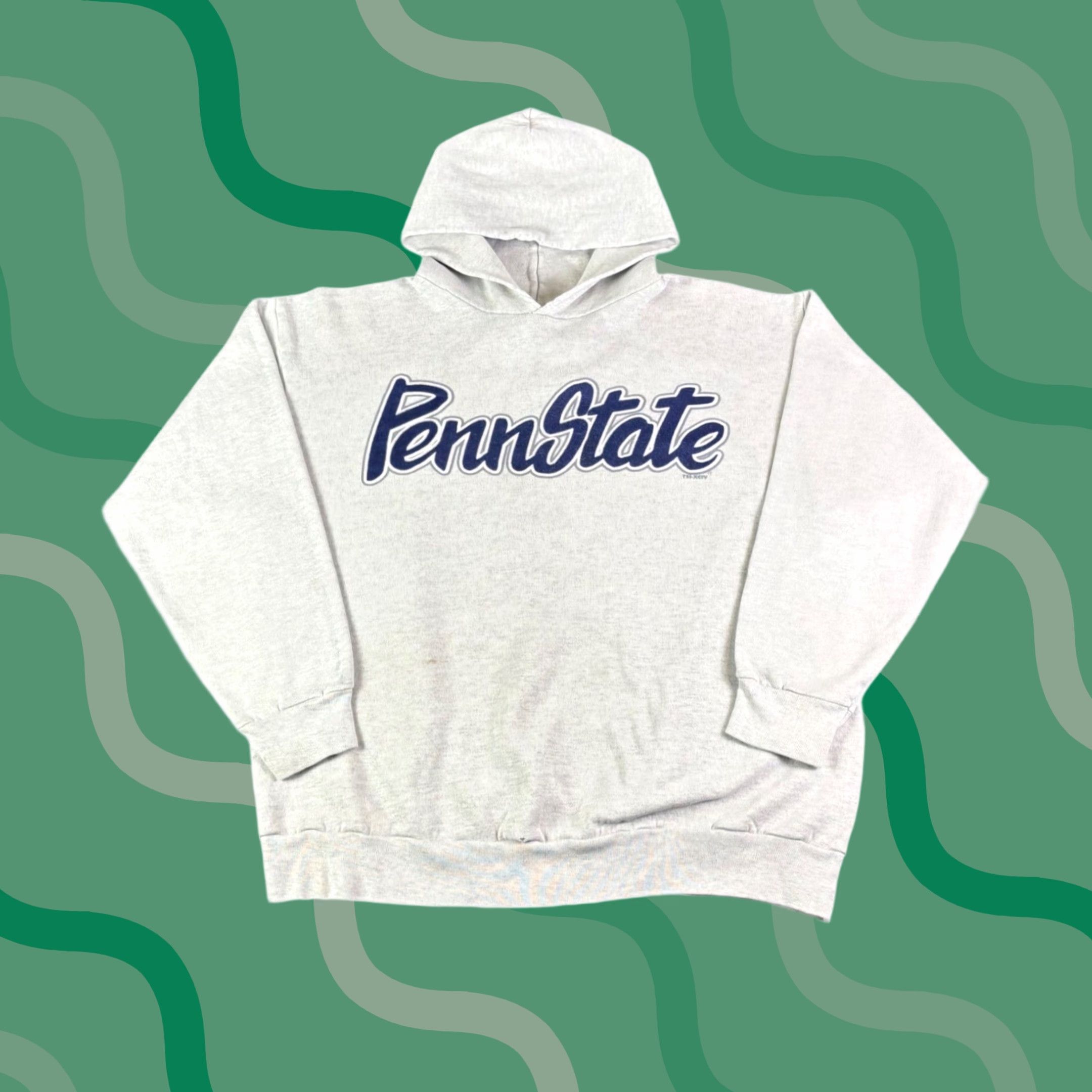 Penn VINTAGE Penn State Nittany Lions Ash Grey Hoodie Sweatshirt Mens Large Vintage Size US M / EU 48-50 / 2 - 1 Thumbnail