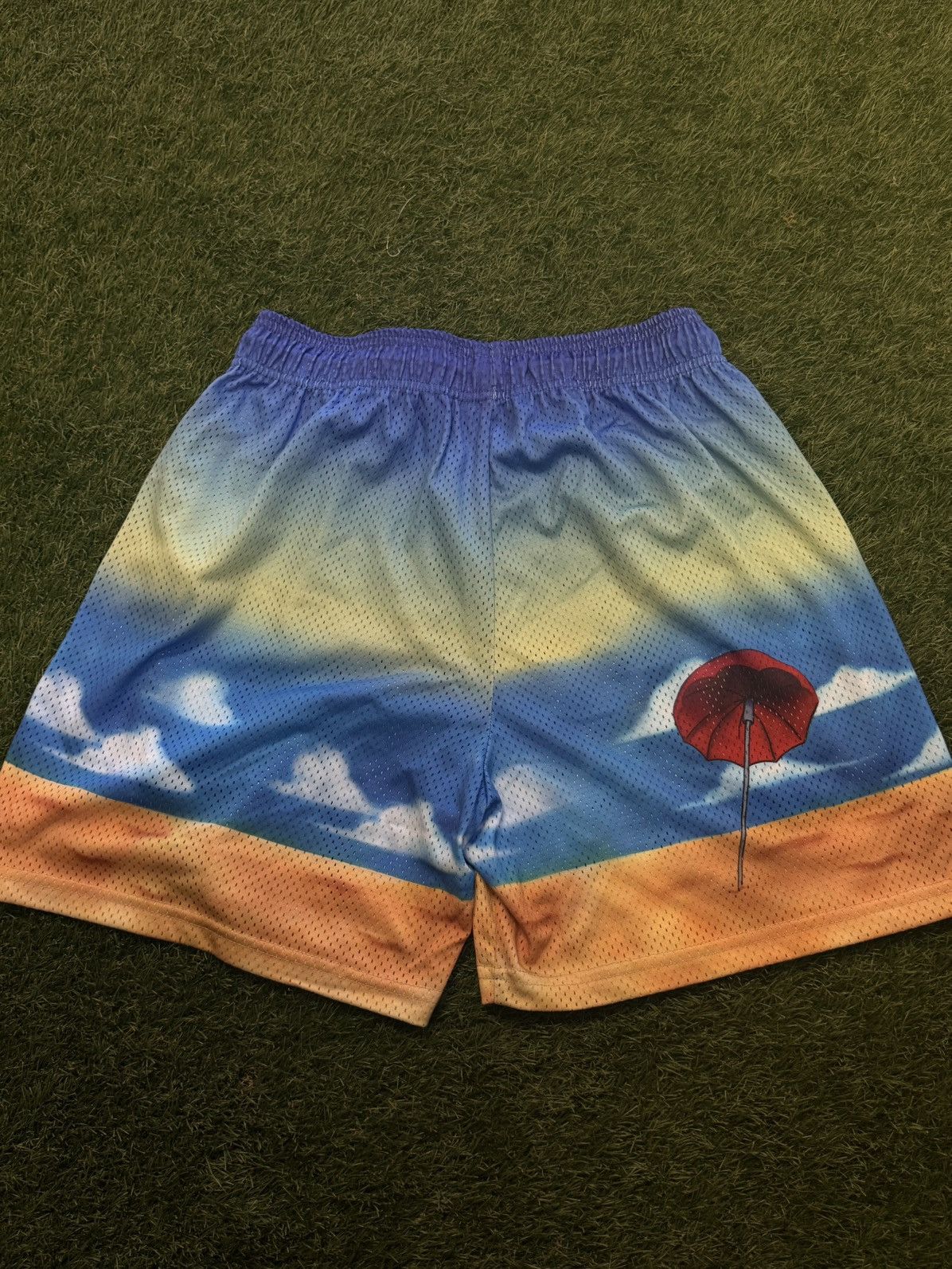 Eric Emanuel × Warren Lotas EE X Waren Lotas Mesh Shorts Size Medium NEW Size US 29 - 5 Thumbnail