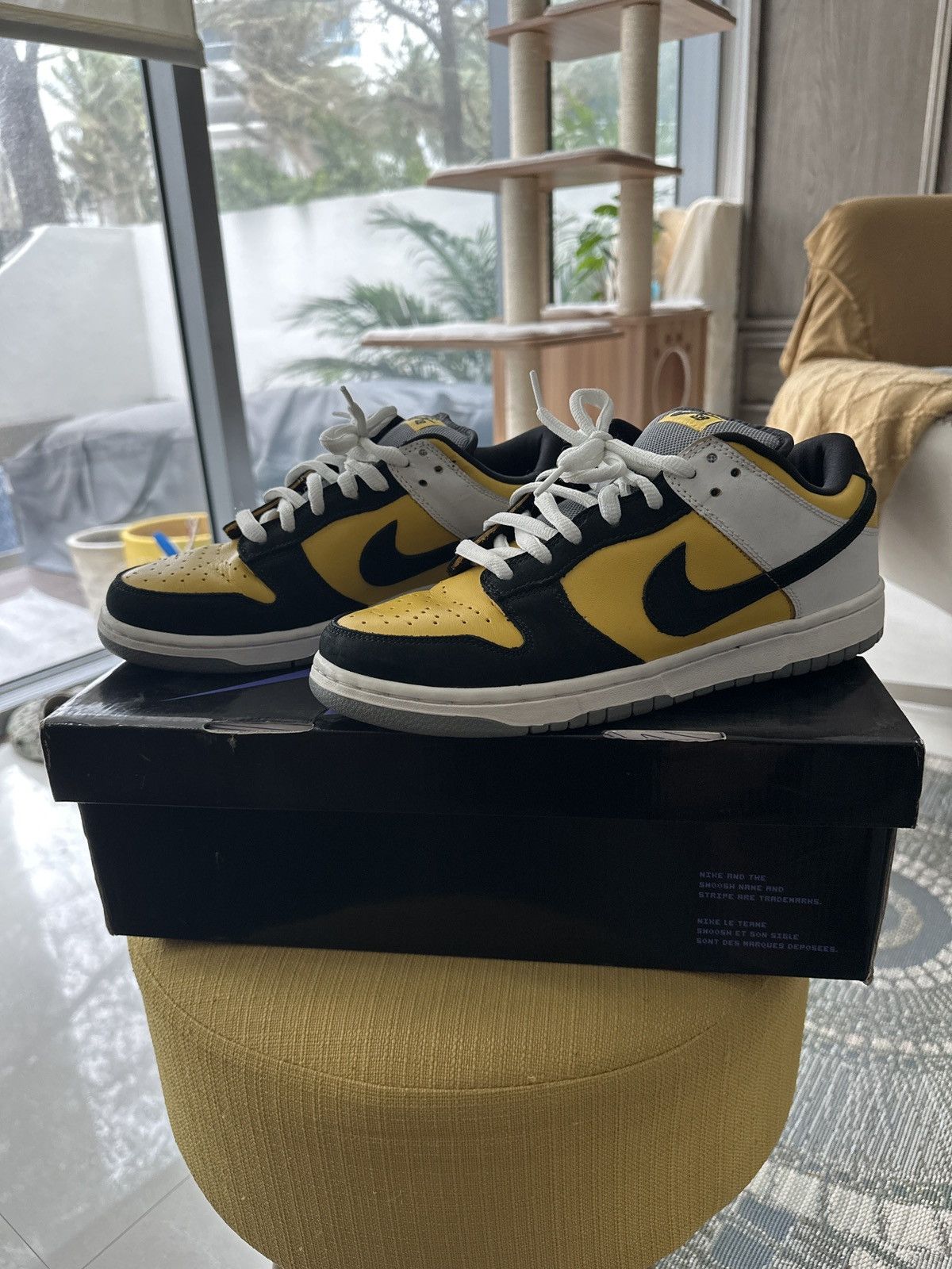 Nike sb best sale dunk bic