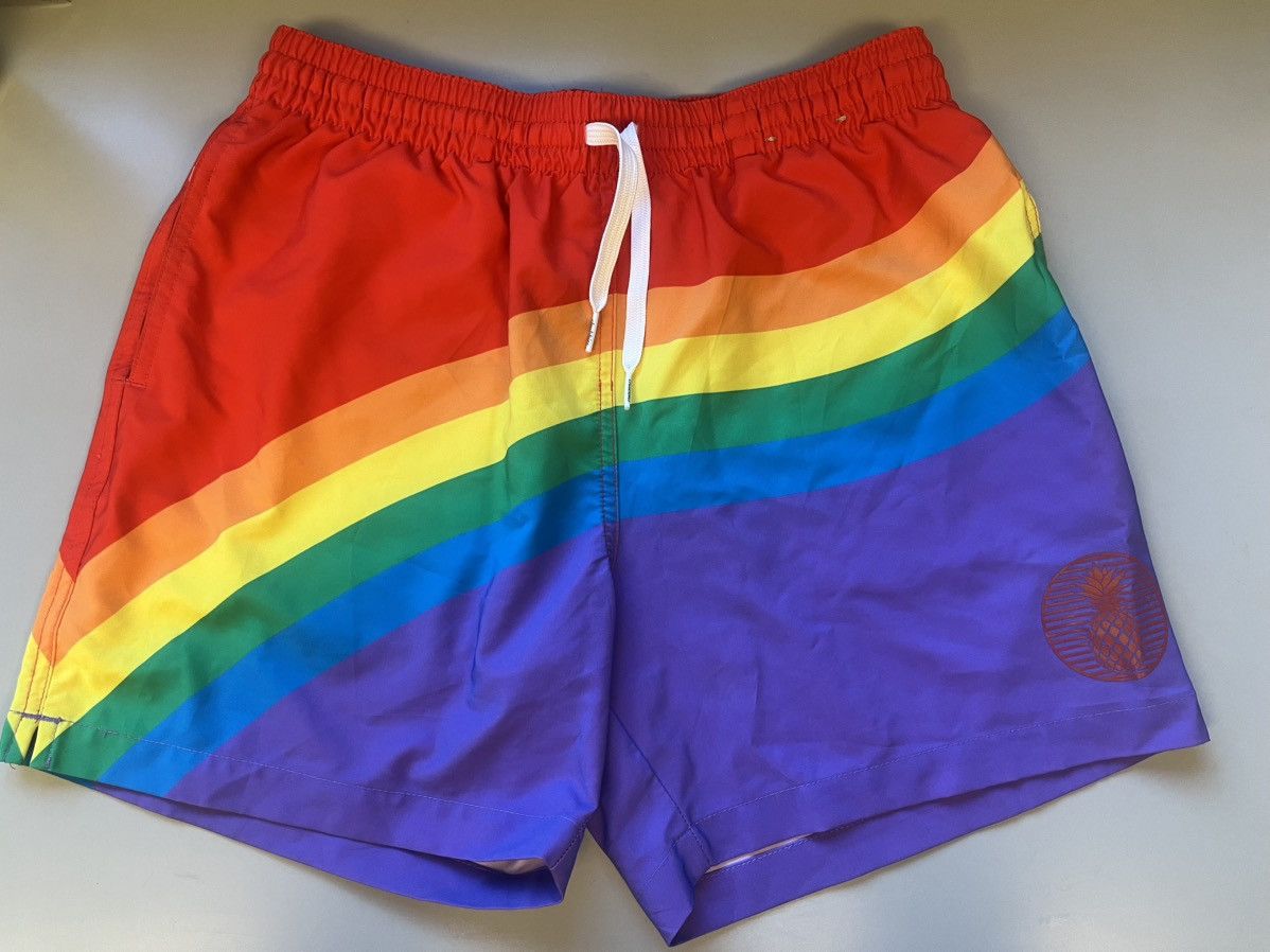 Chubbies Chubbies Swim Trunks Pride Size Medium Size US 34 / EU 50 - 1 Thumbnail