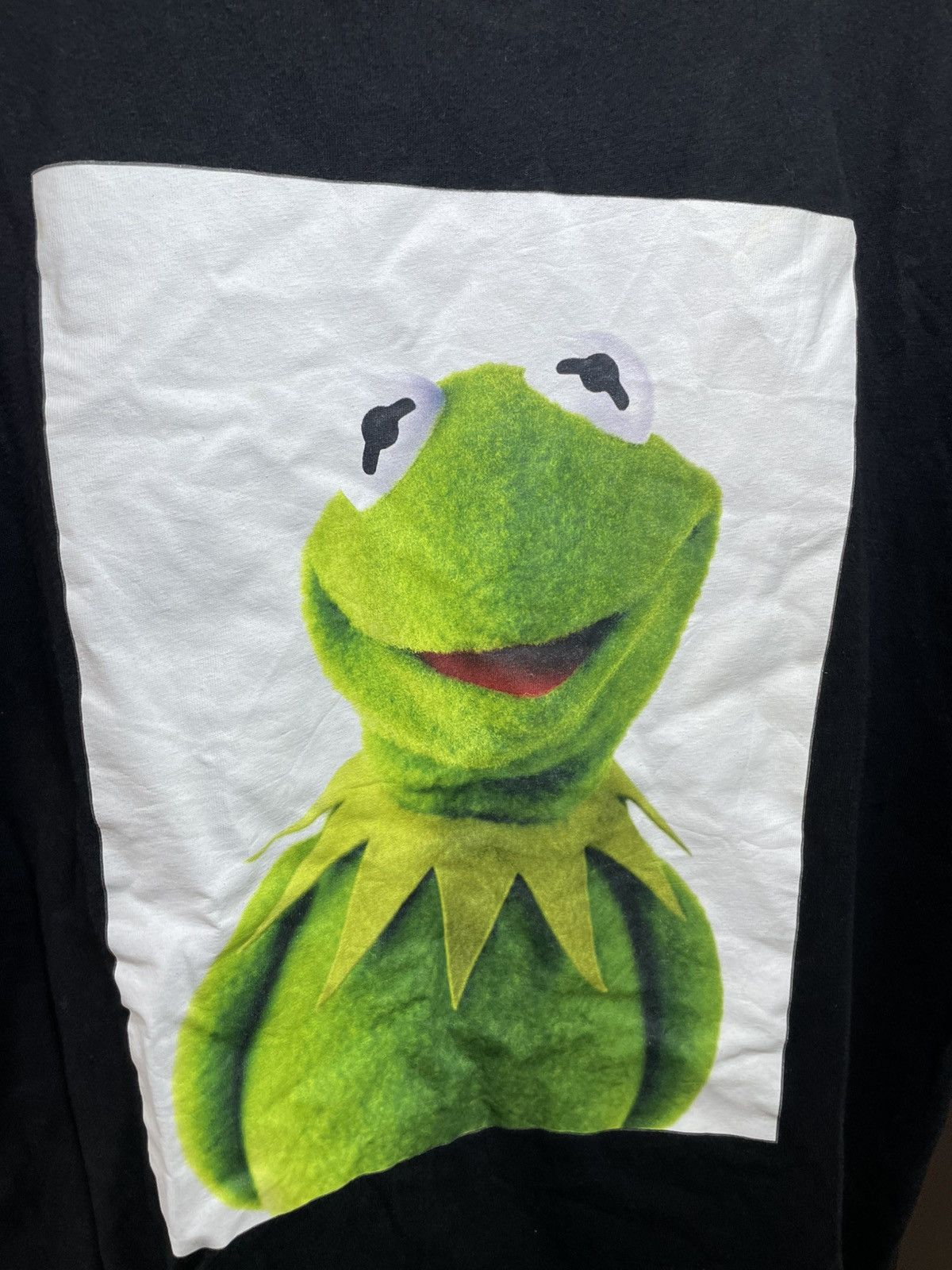 Disney 2017 The Muppets Photo Tee Shirt (Medium Size) Size US M / EU 48-50 / 2 - 9 Thumbnail