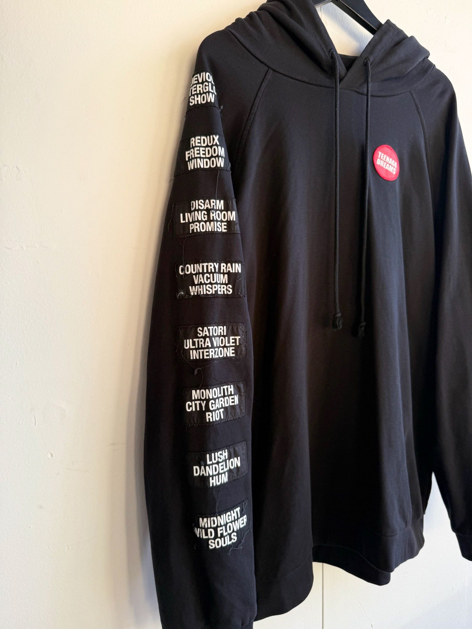Raf Simons TEENAGE DREAMS HOODIE XL Size US M / EU 48-50 / 2 - 3 Thumbnail