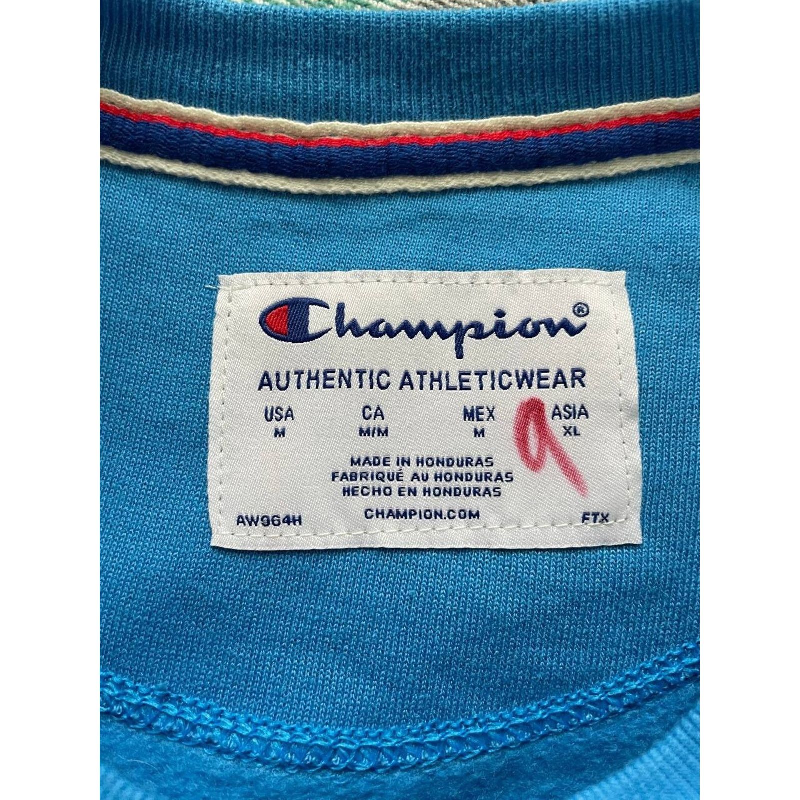 Champion Vintage Champion Purple Crewneck Sweatshirt XL Size US XL / EU 56 / 4 - 7 Thumbnail