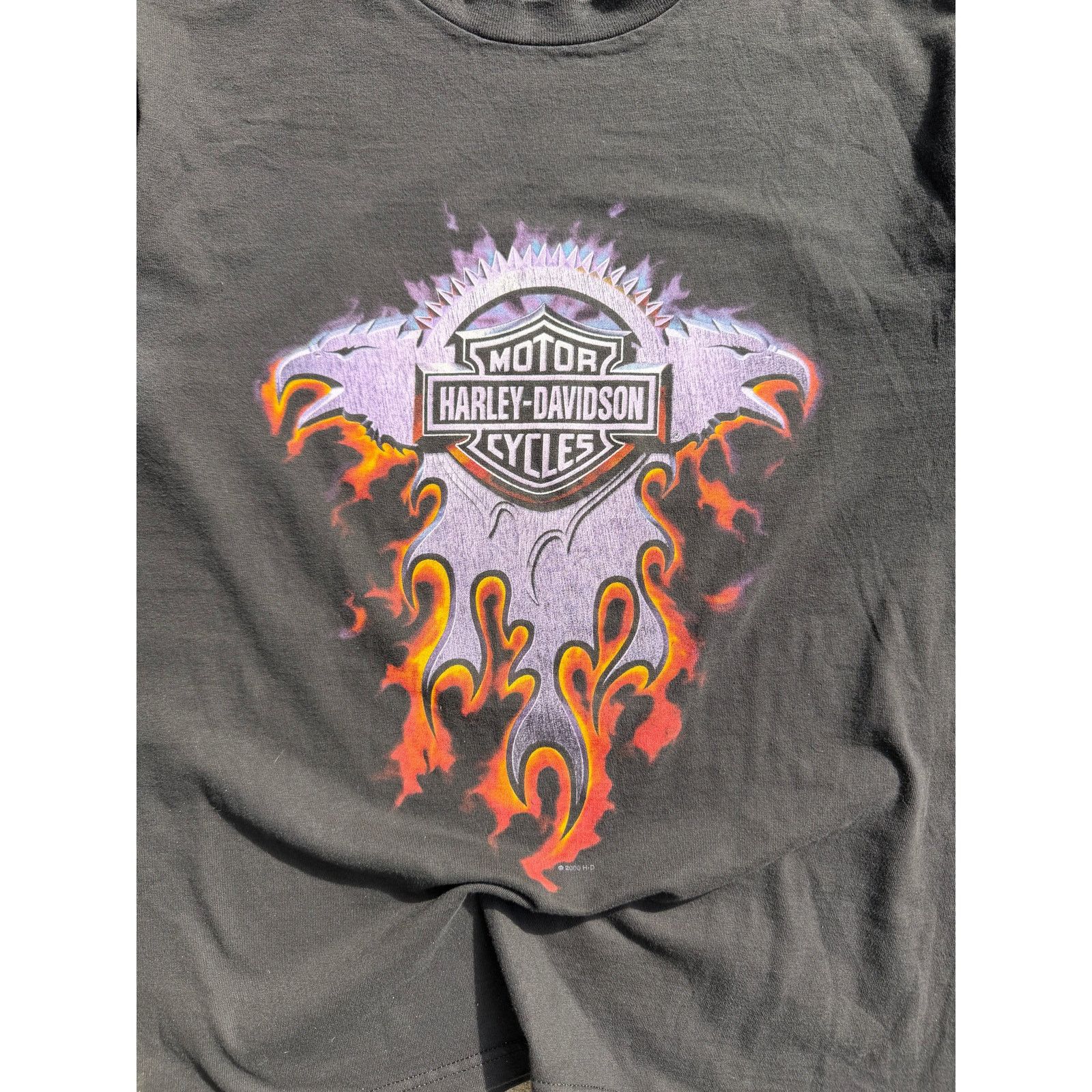 Harley Davidson 2000 Harley Davidson Flame Purple Logo Tee Size US L / EU 52-54 / 3 - 2 Thumbnail