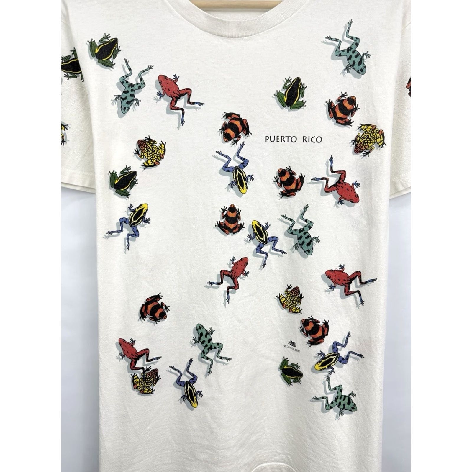 Hanes VINTAGE 90s Dan Gilbert Poison Dart Frogs Puerto Rico T-Shirt Size M White Hanes Shirt Mens Size US M / EU 48-50 / 2 - 4 Thumbnail